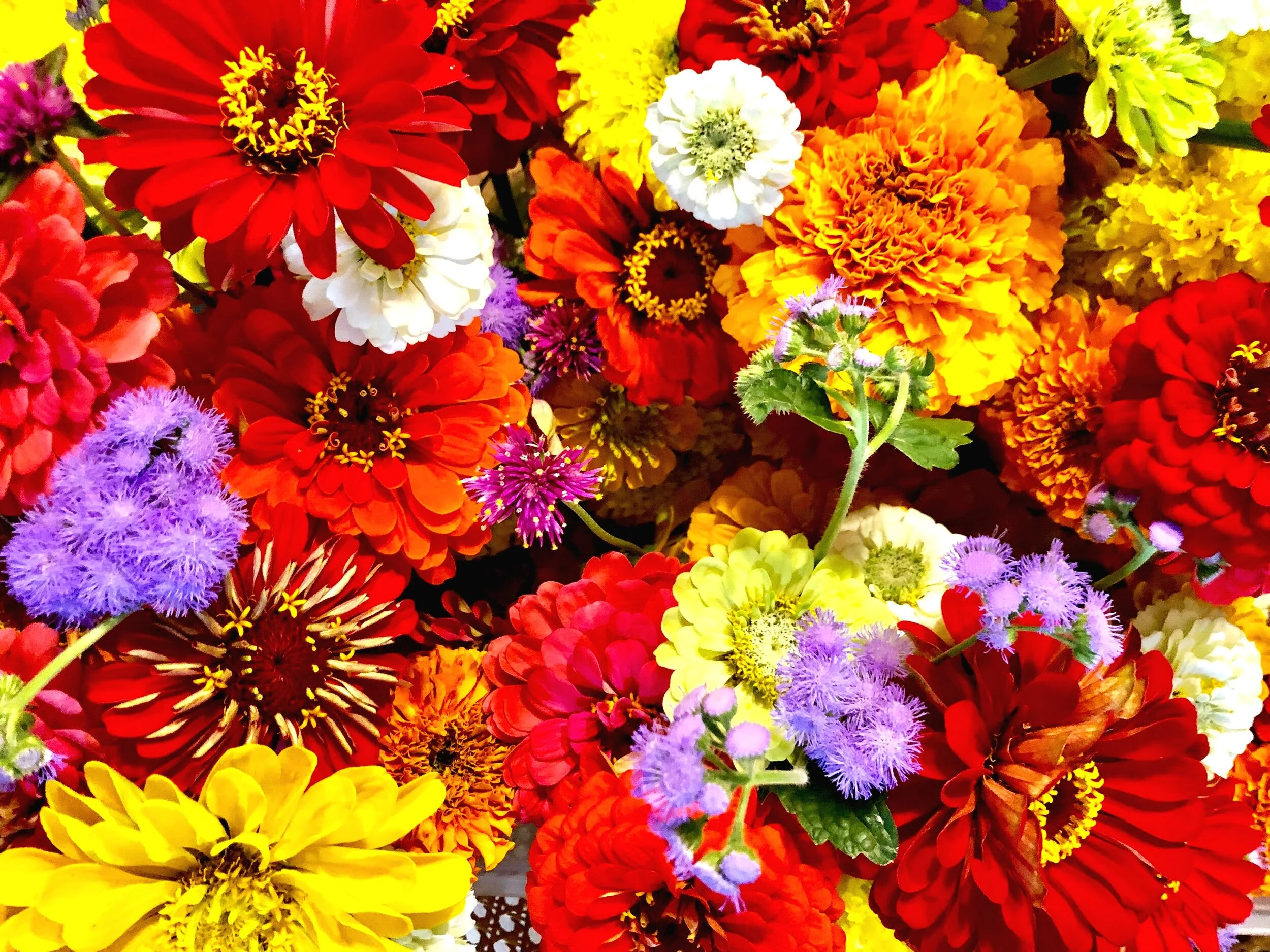 Suwanee Farmer's Market
