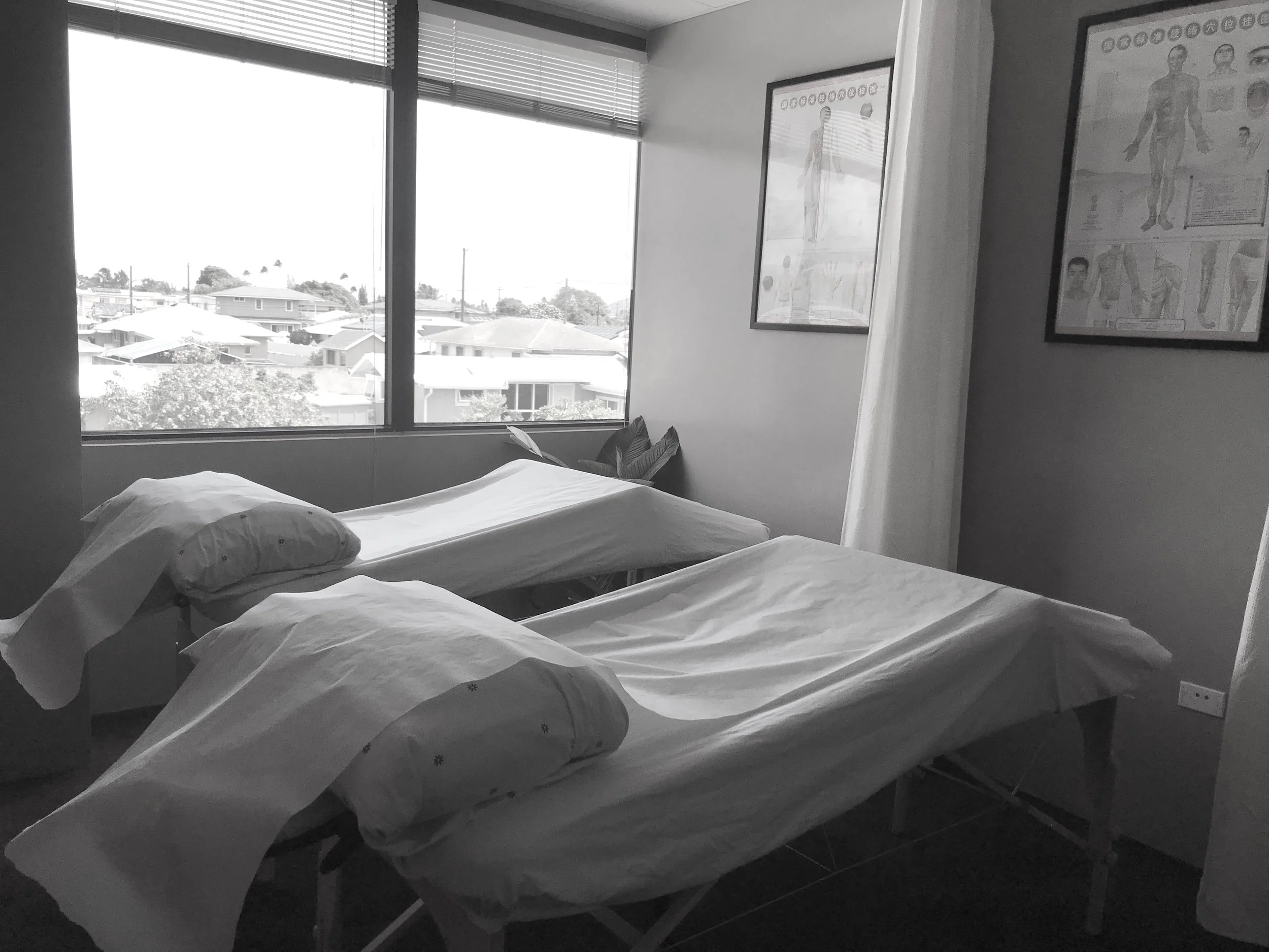 Natural Medicine Doctor in Hawaii Oahu Holistic Medicine