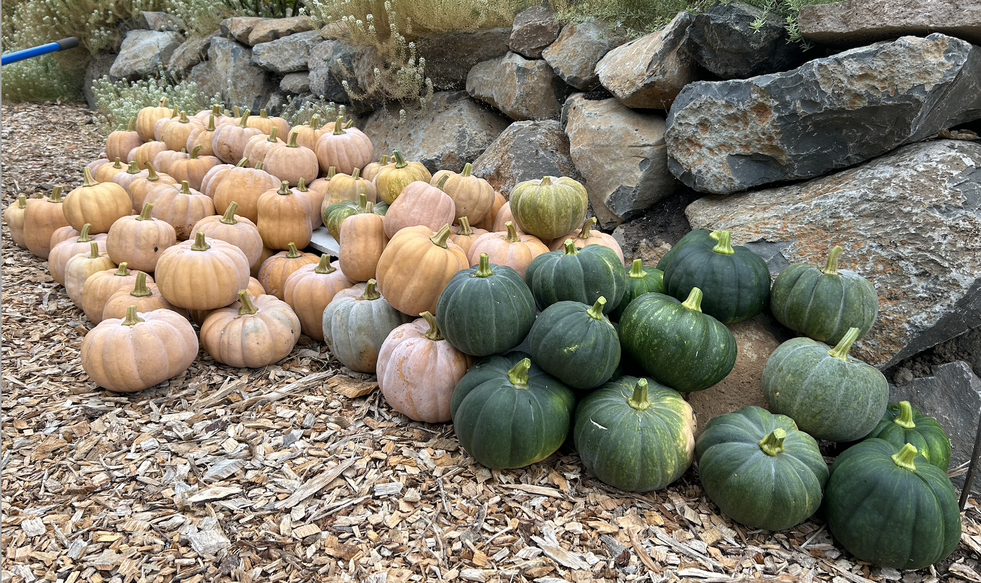 Field Notes: Autumn Equinox