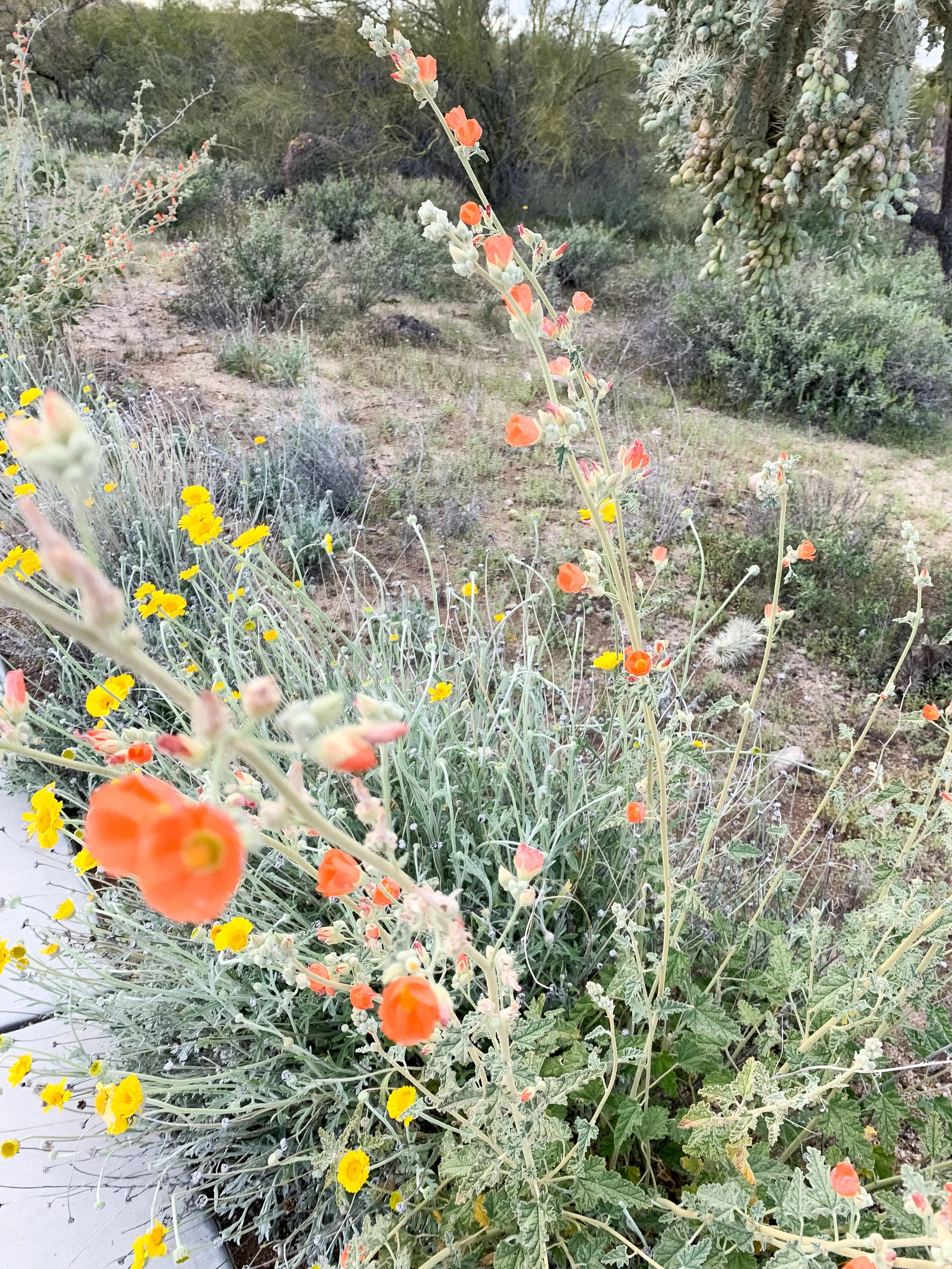 march melancholy