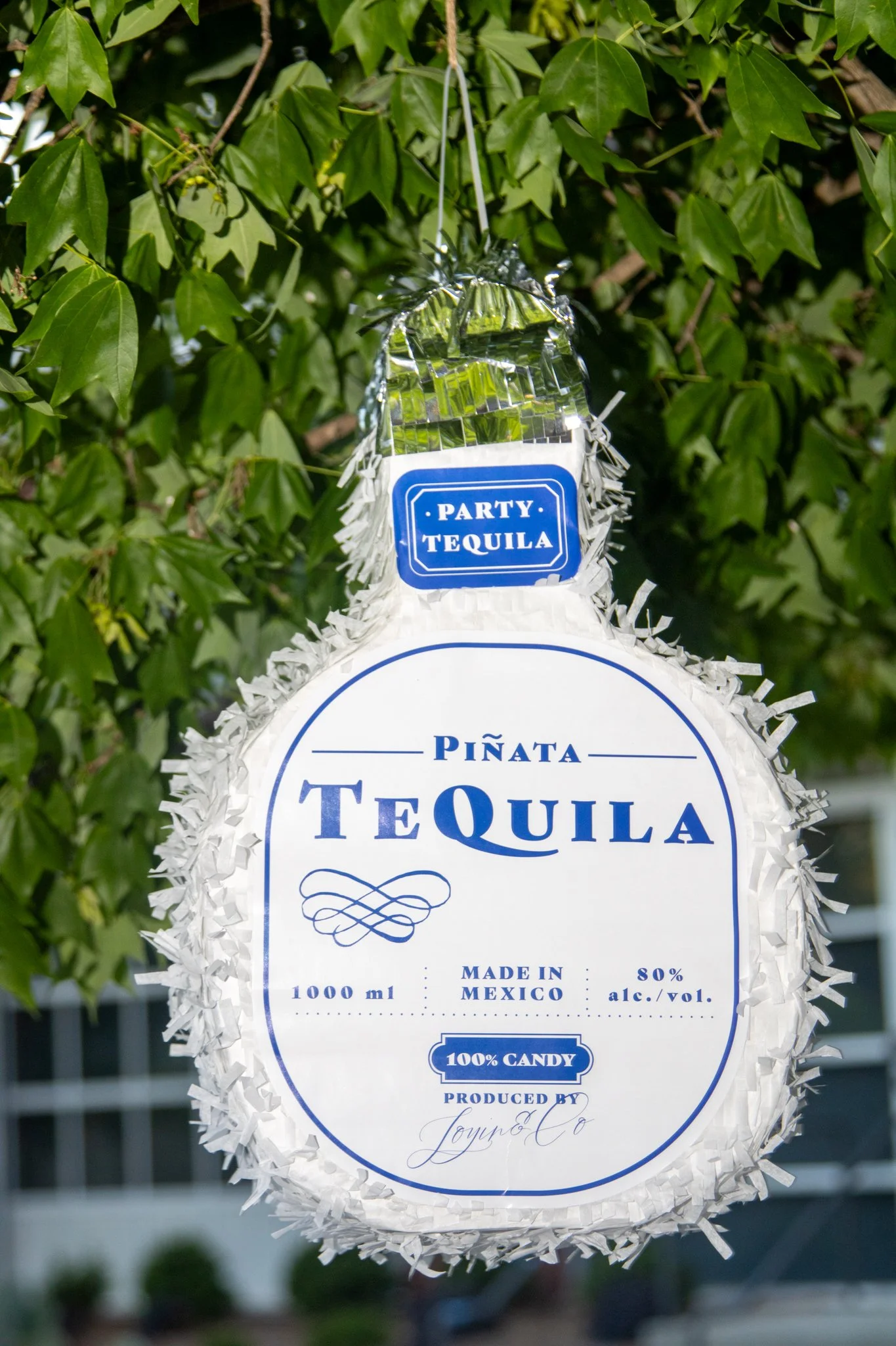 Photo May 05 2025, 8 05 48 PM.jpg