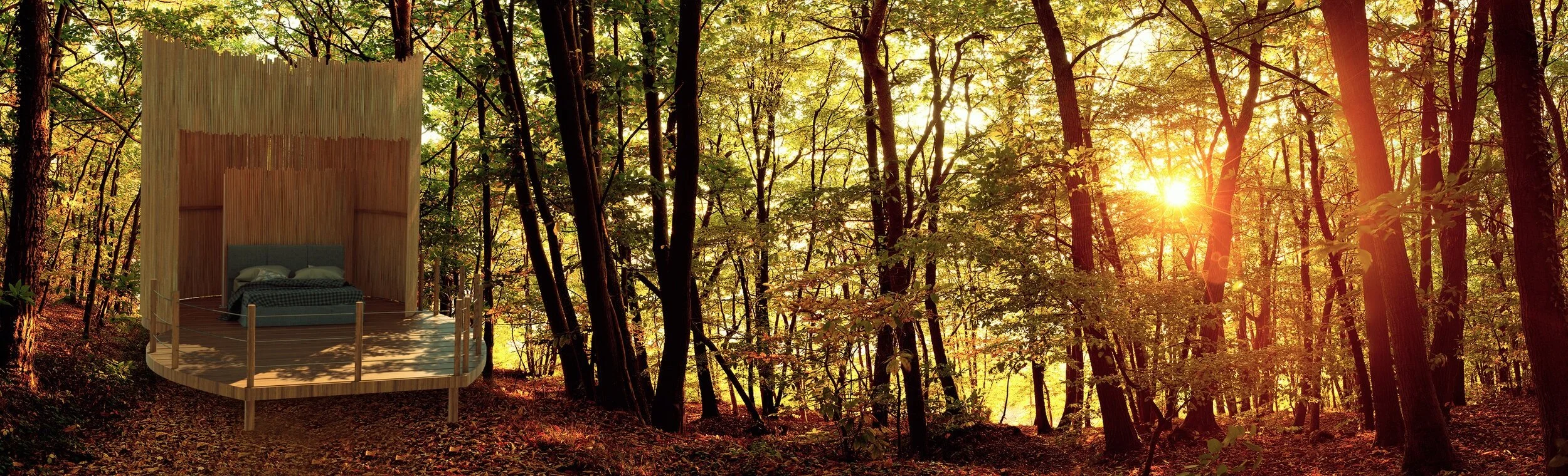 eco_00.jpg