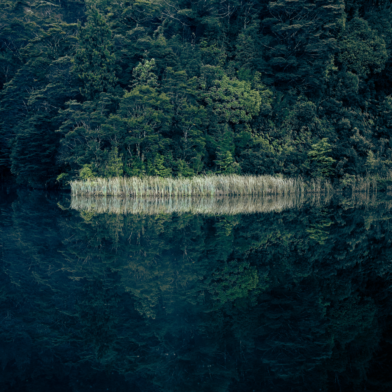 Screenshot 2025-11-13 at 3.09.30 pm.png