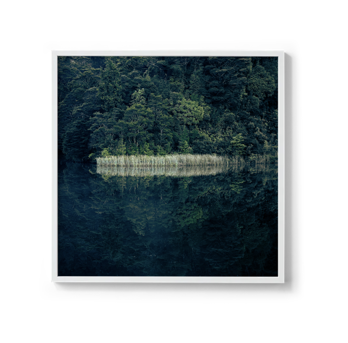 Screenshot 2025-11-13 at 3.03.13 pm.png