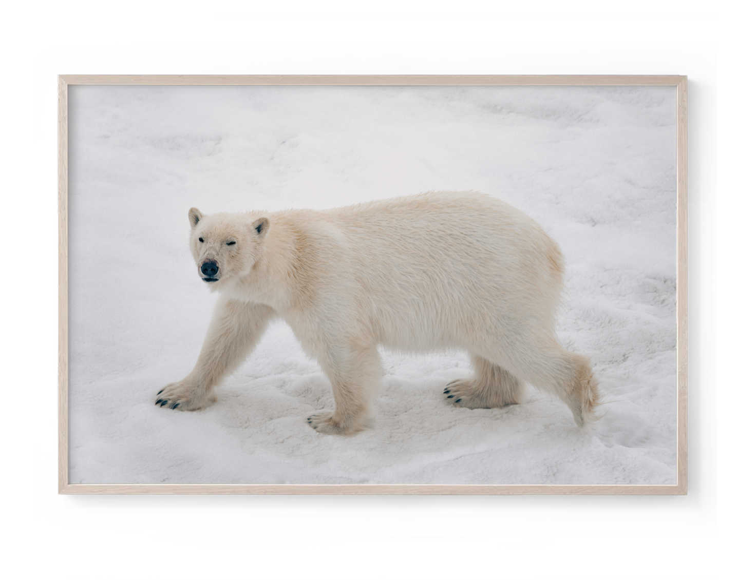 Screenshot 2025-11-13 at 2.16.46 pm.png