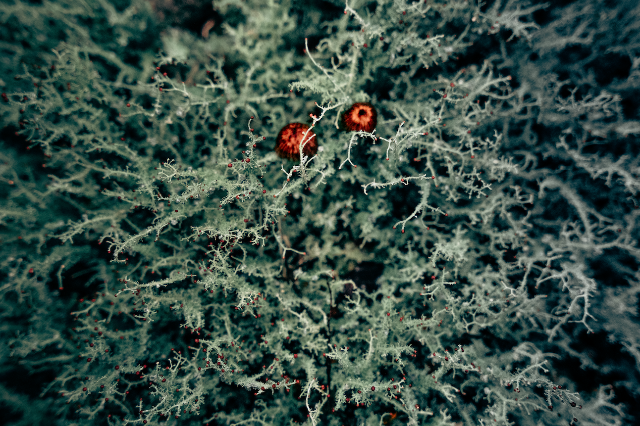 Screenshot 2025-11-13 at 2.25.26 pm.png