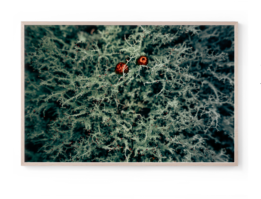 Screenshot 2025-11-13 at 2.21.46 pm.png