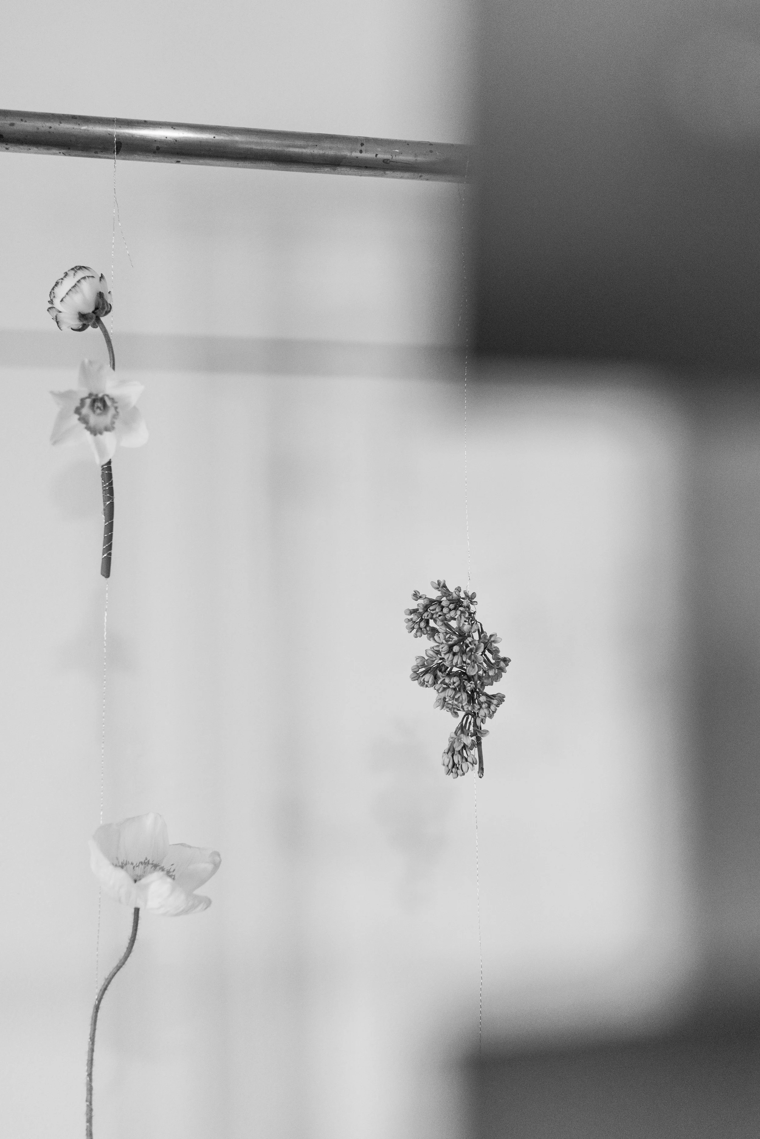 Jack and Jayde-30.jpg