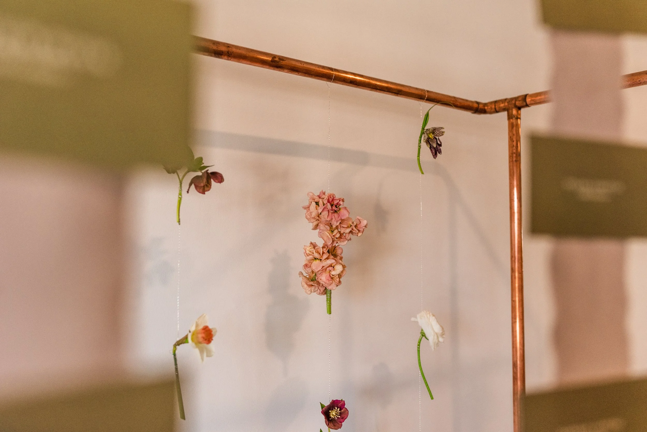 Jack and Jayde-31.jpg