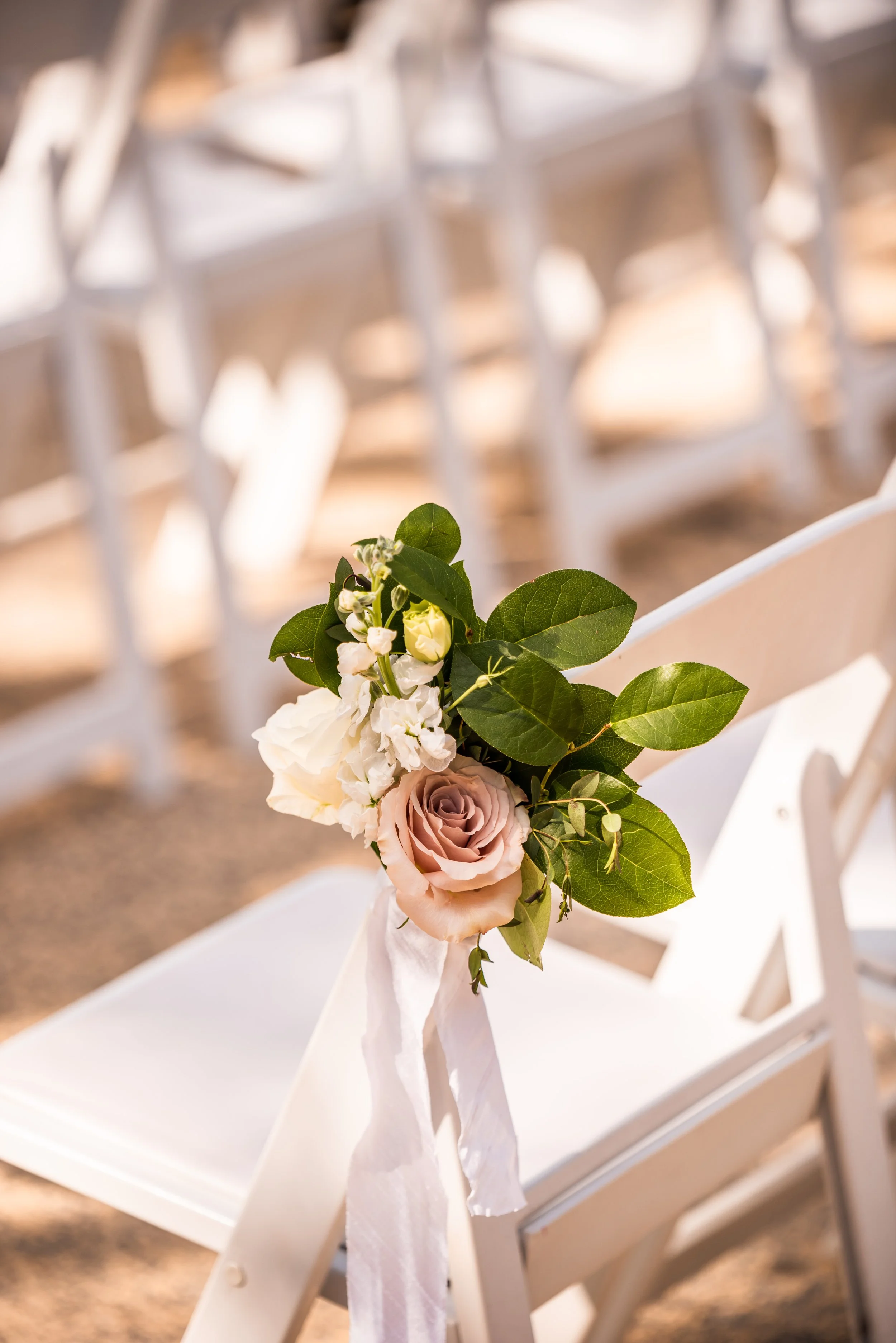 Matt and Lisa-12.jpg