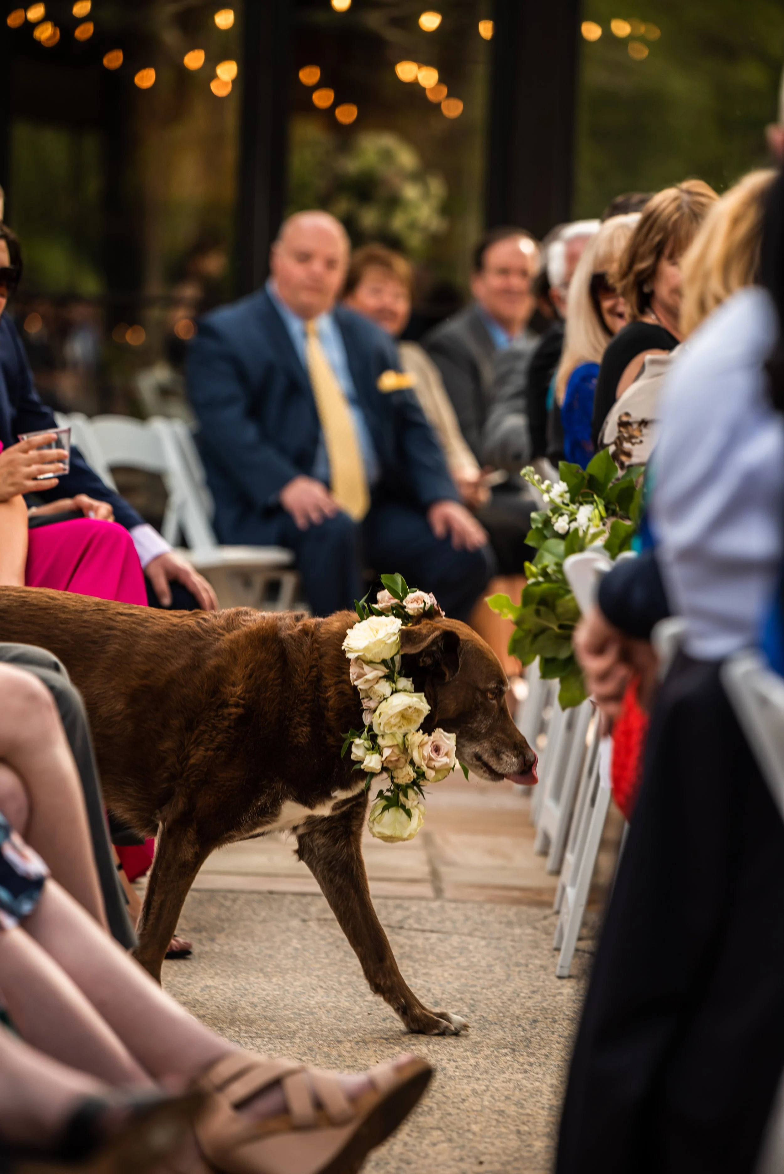 Matt and Lisa-19.jpg