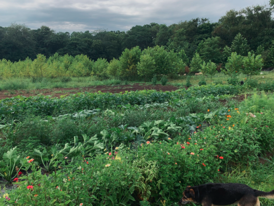 “Human-scale” Farming