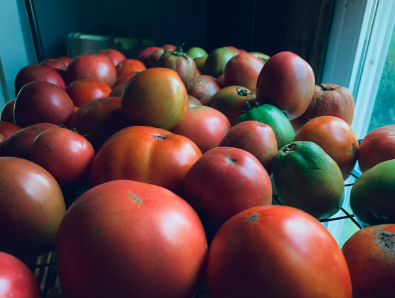 Red Ripe, flavorful, heirloom tomatoes 