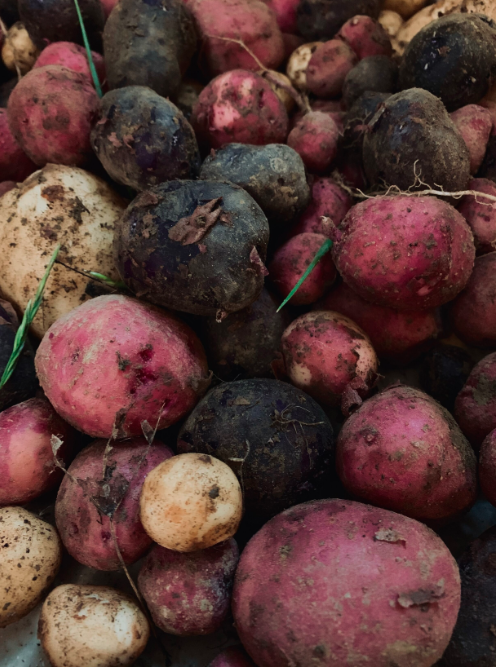 New Potatoes 