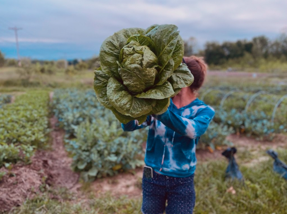 Screenshot 2022-11-26 7.57.04 PM.png