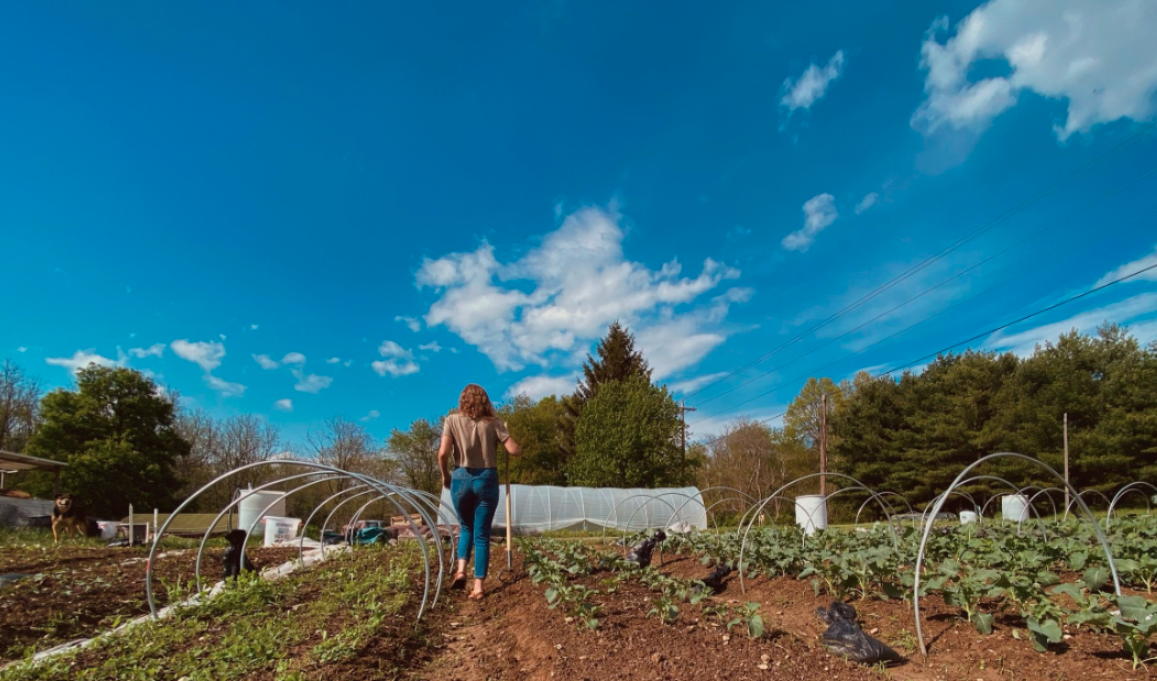 Screenshot 2022-11-26 7.57.35 PM.png