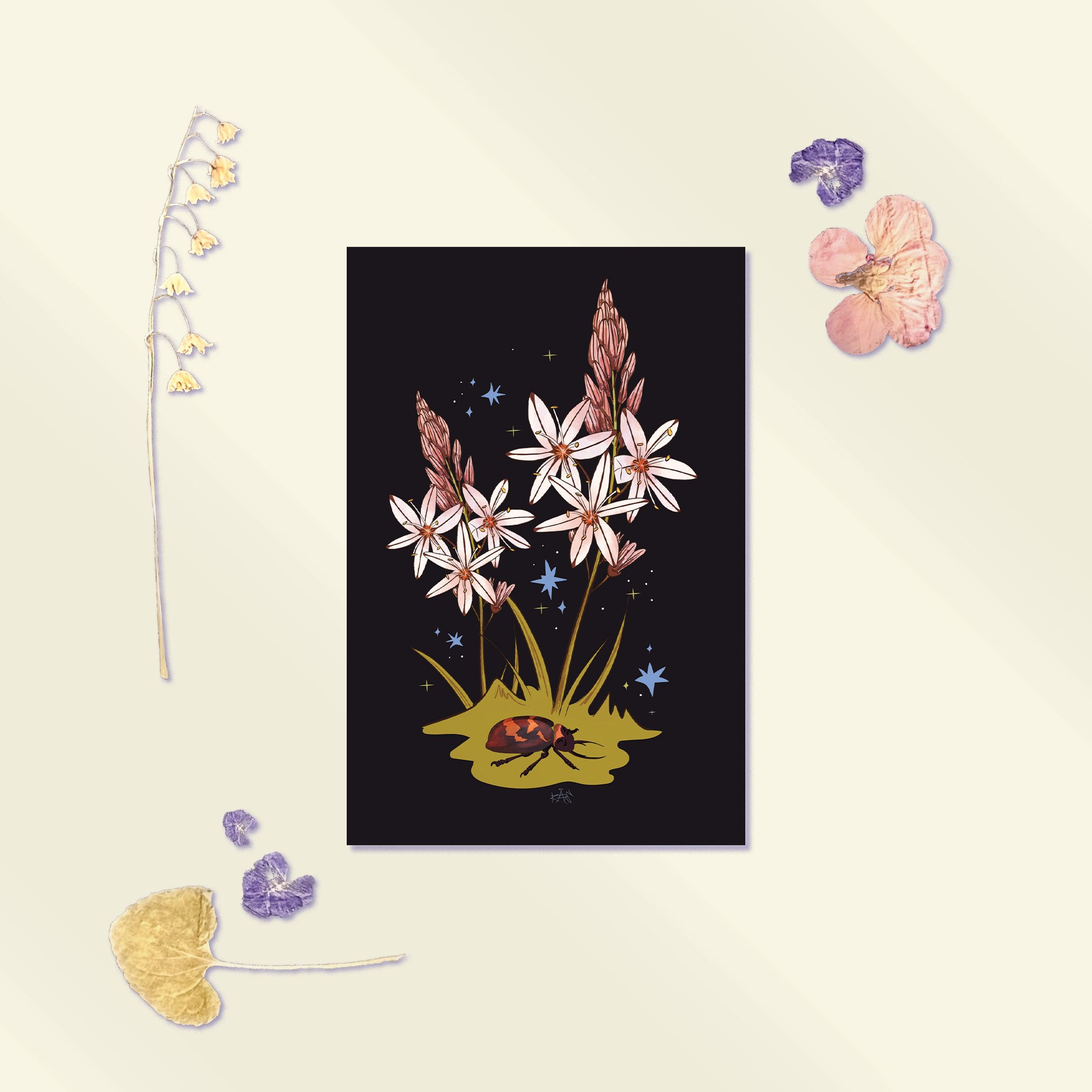 Grape Hyacinth Postcard