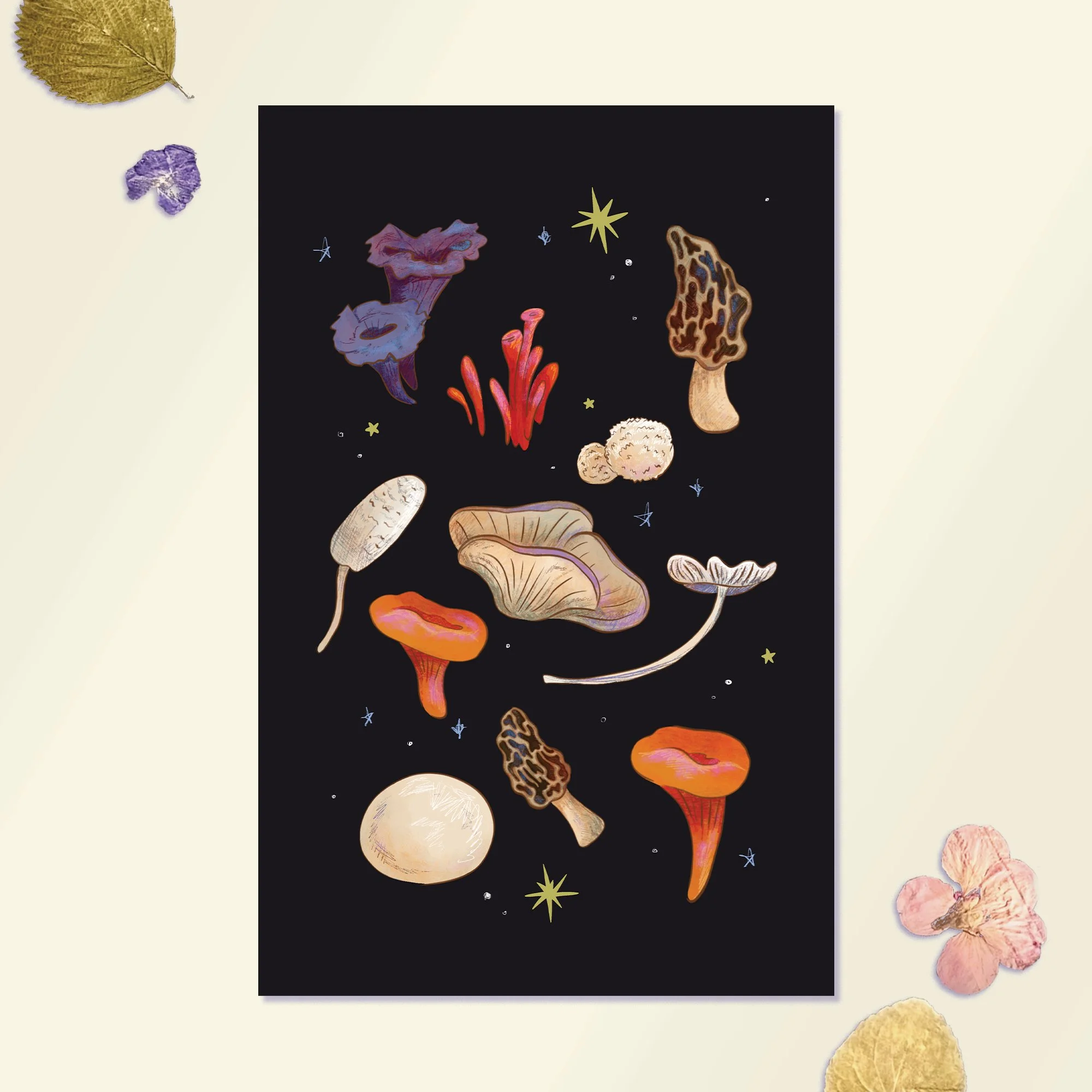 Mushroom Art Print