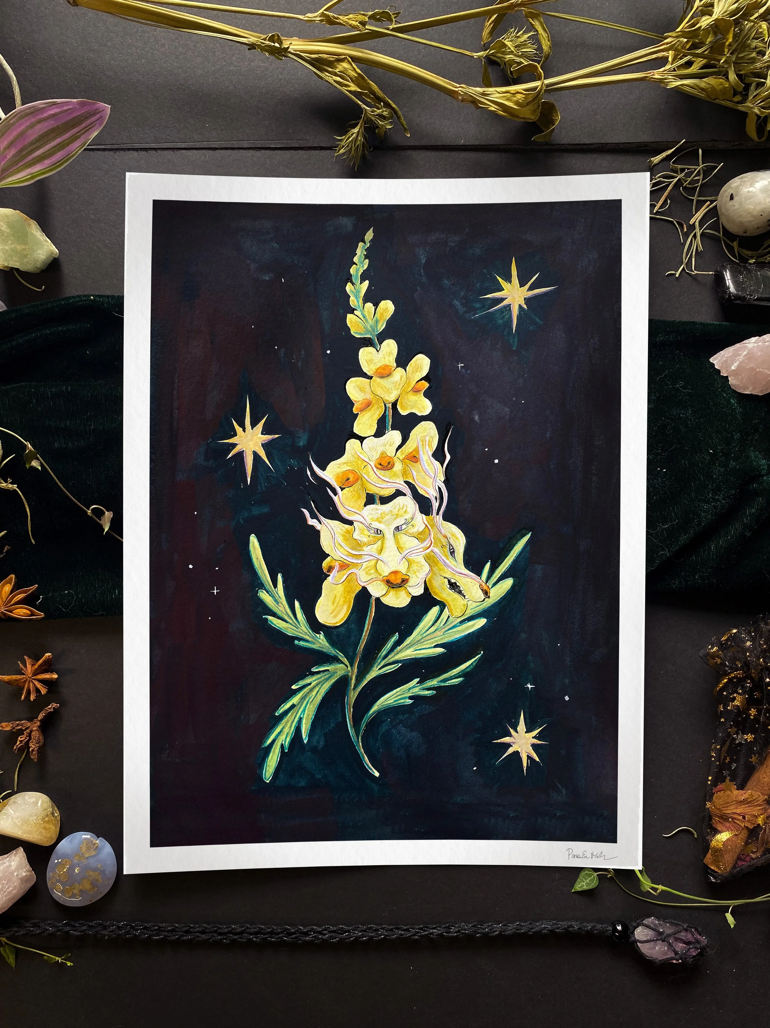 Snap Dragons 9x12.jpg