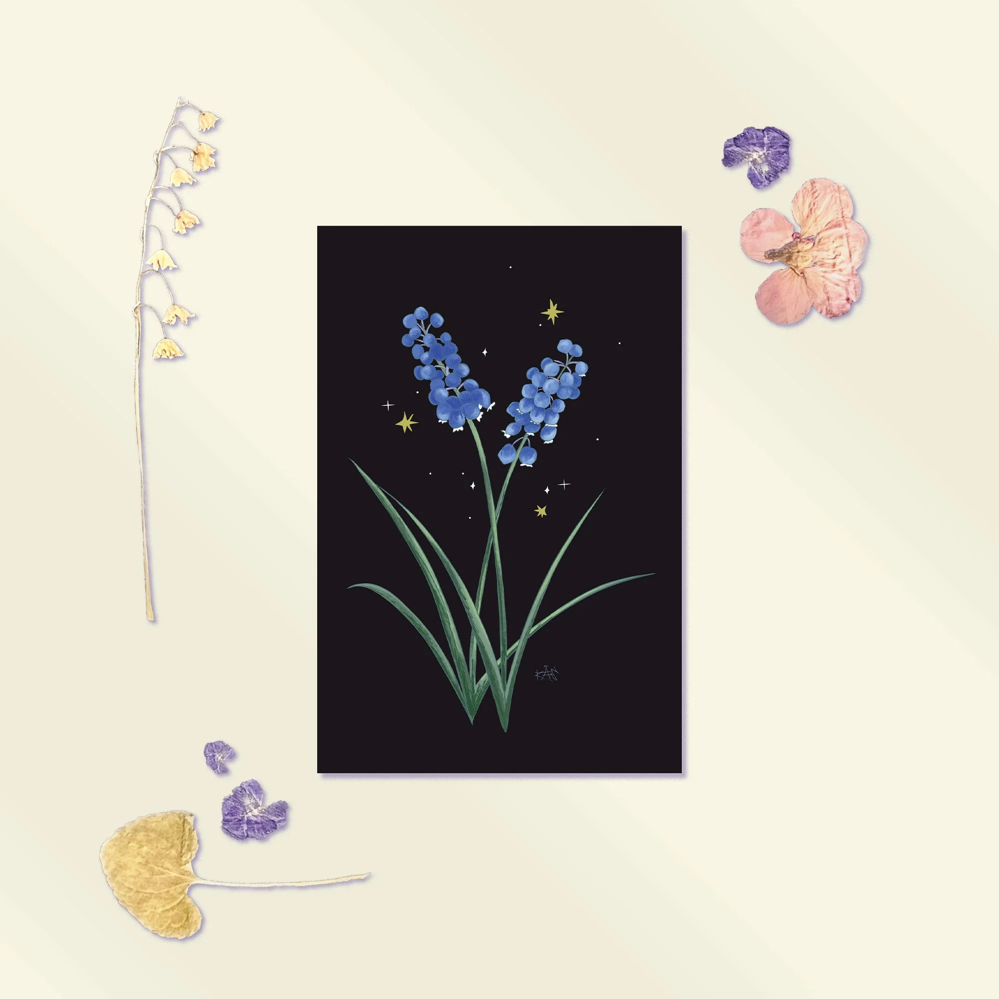Hyacinth Postcard.jpg