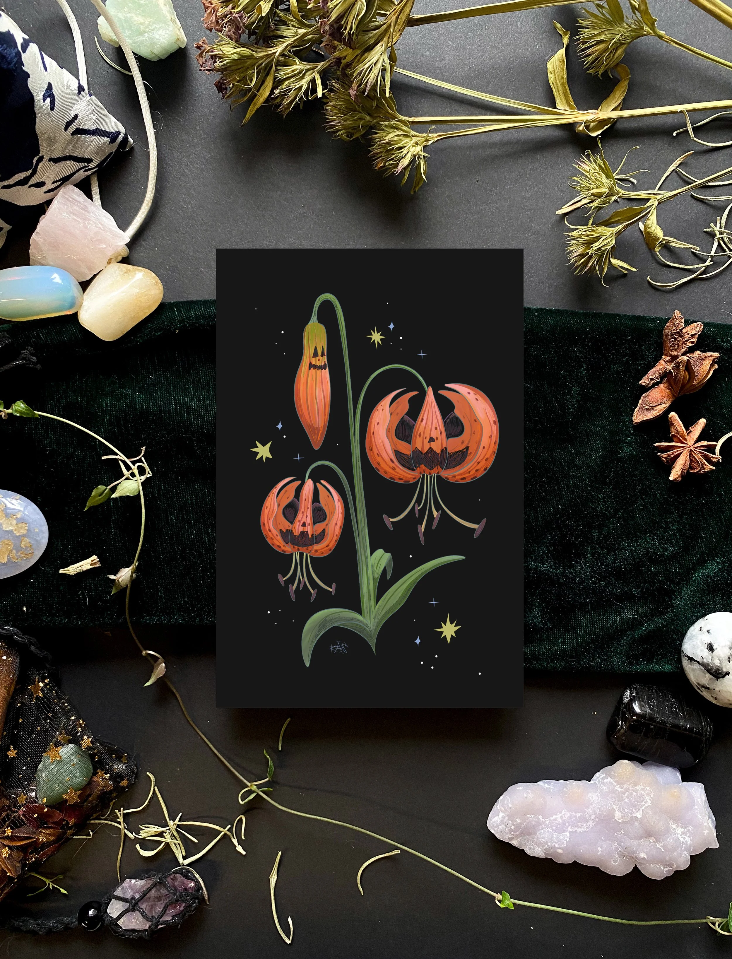 Jack-o-lily postcard.jpg