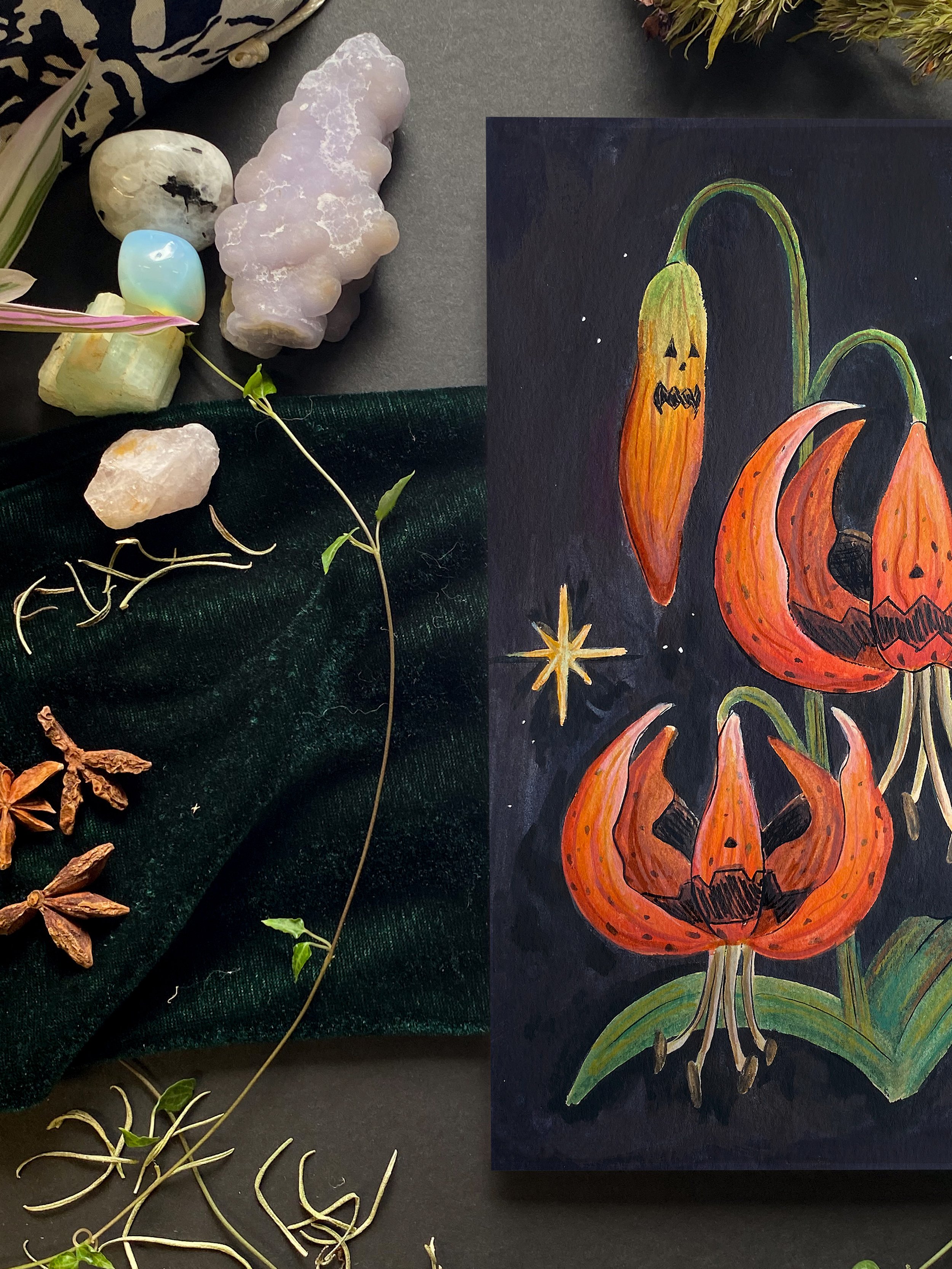 Jack-o-lily 9x6 3.jpg