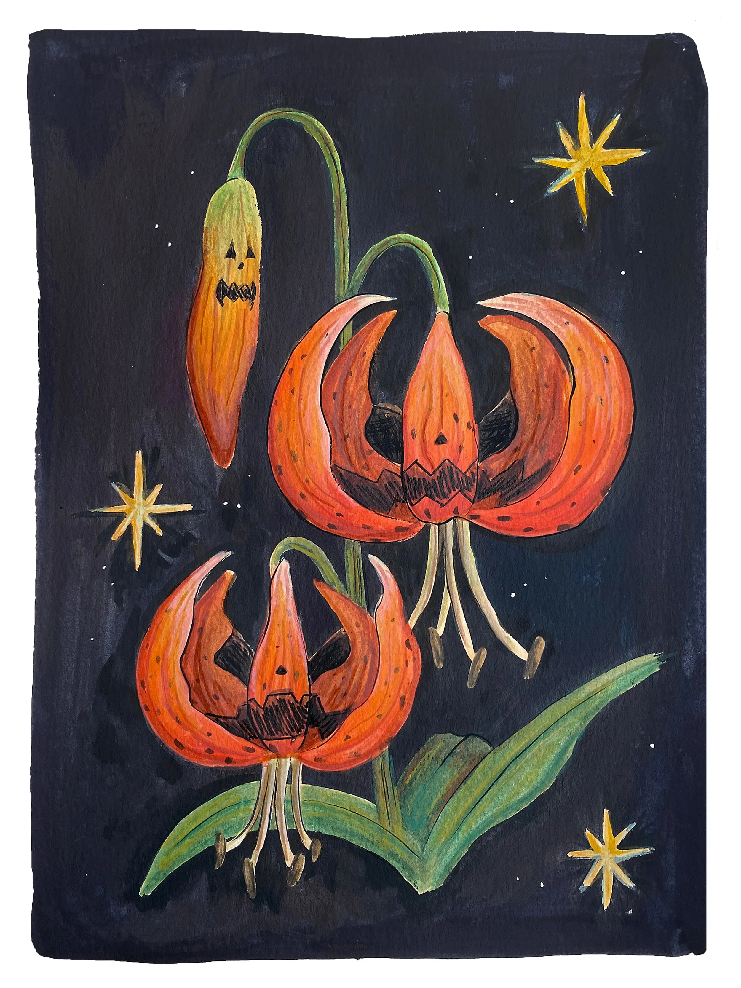 Jack o lily.jpg