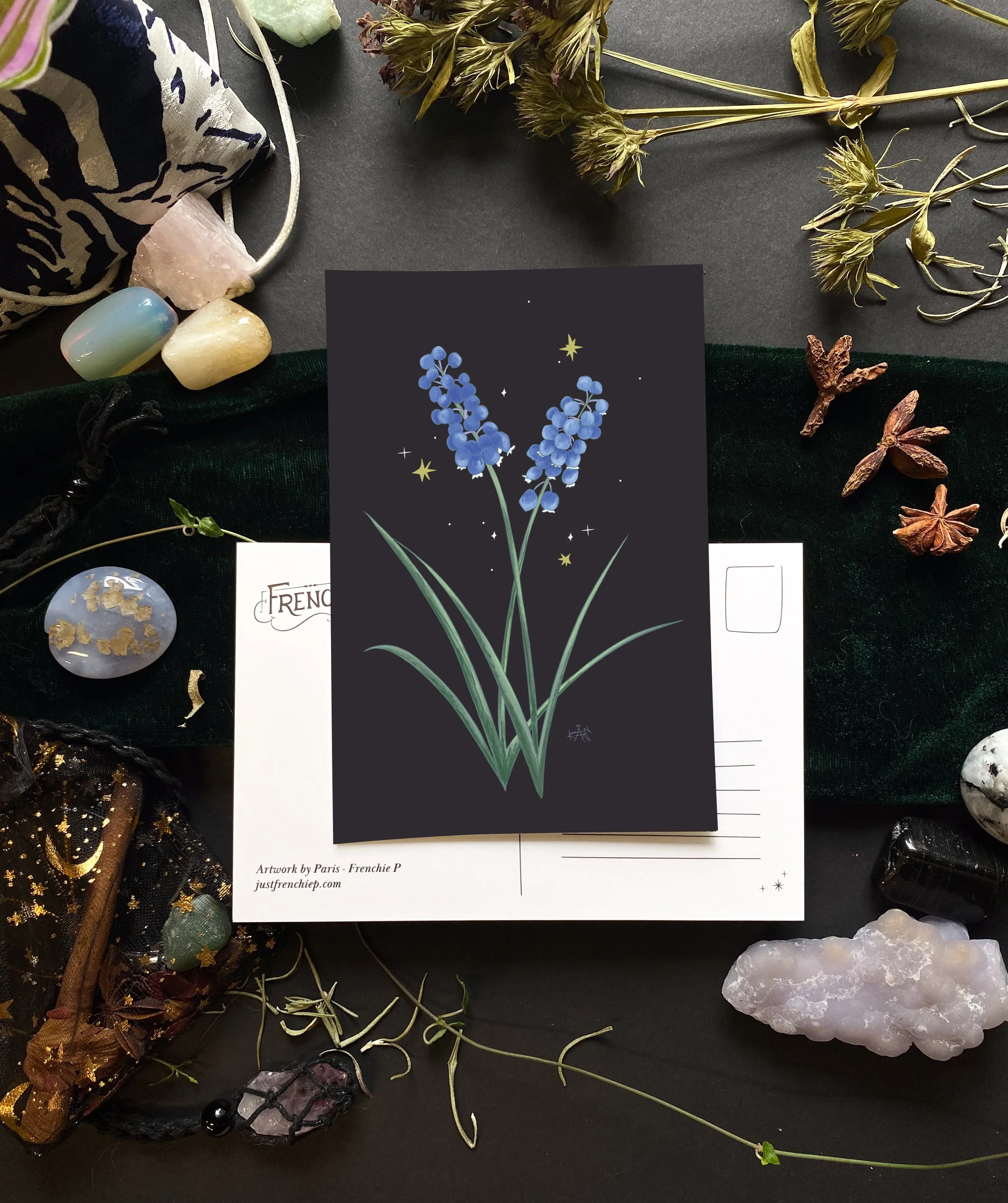 Grape Hyacinth Postcard