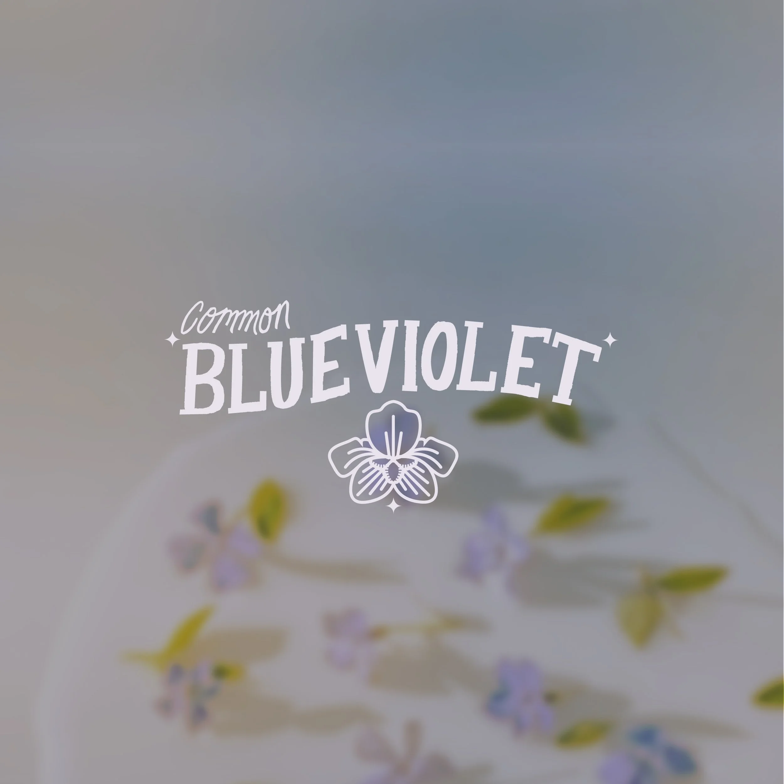 BlueViolet2-01.jpg