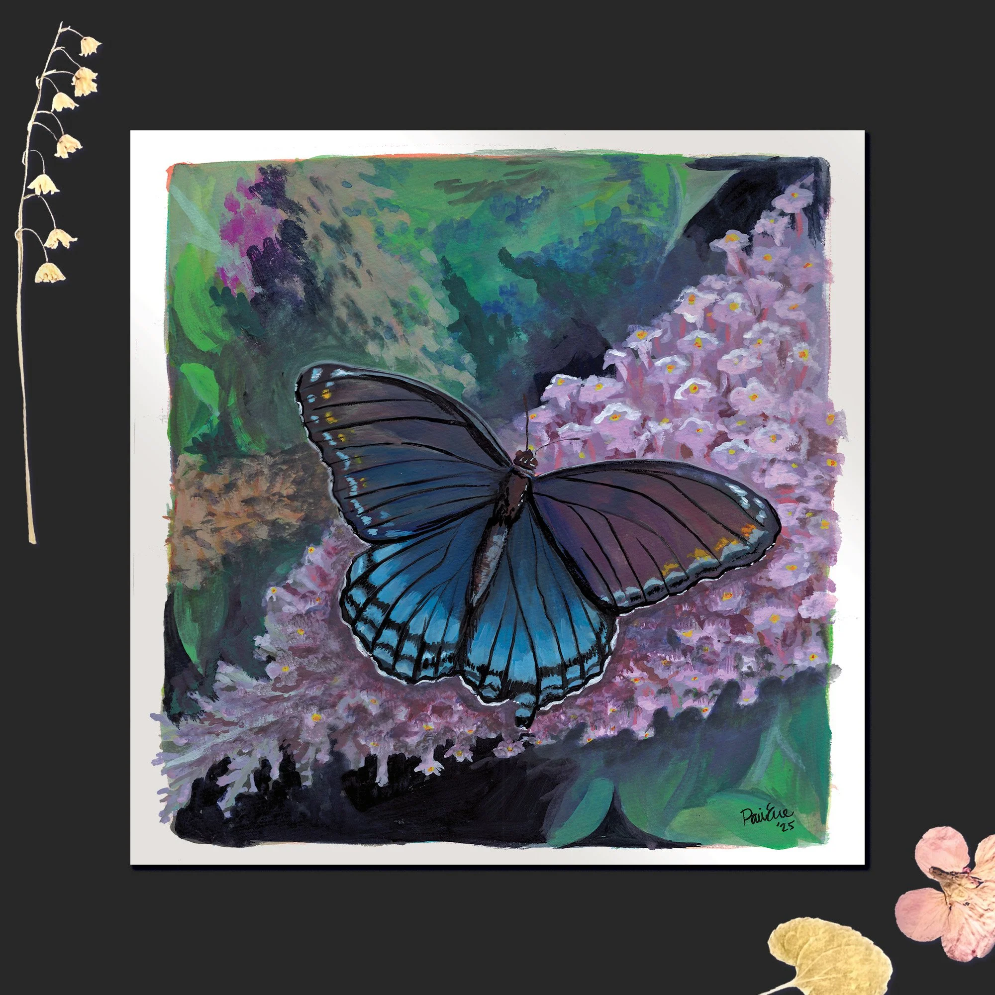 Limenitis Arthemis Print