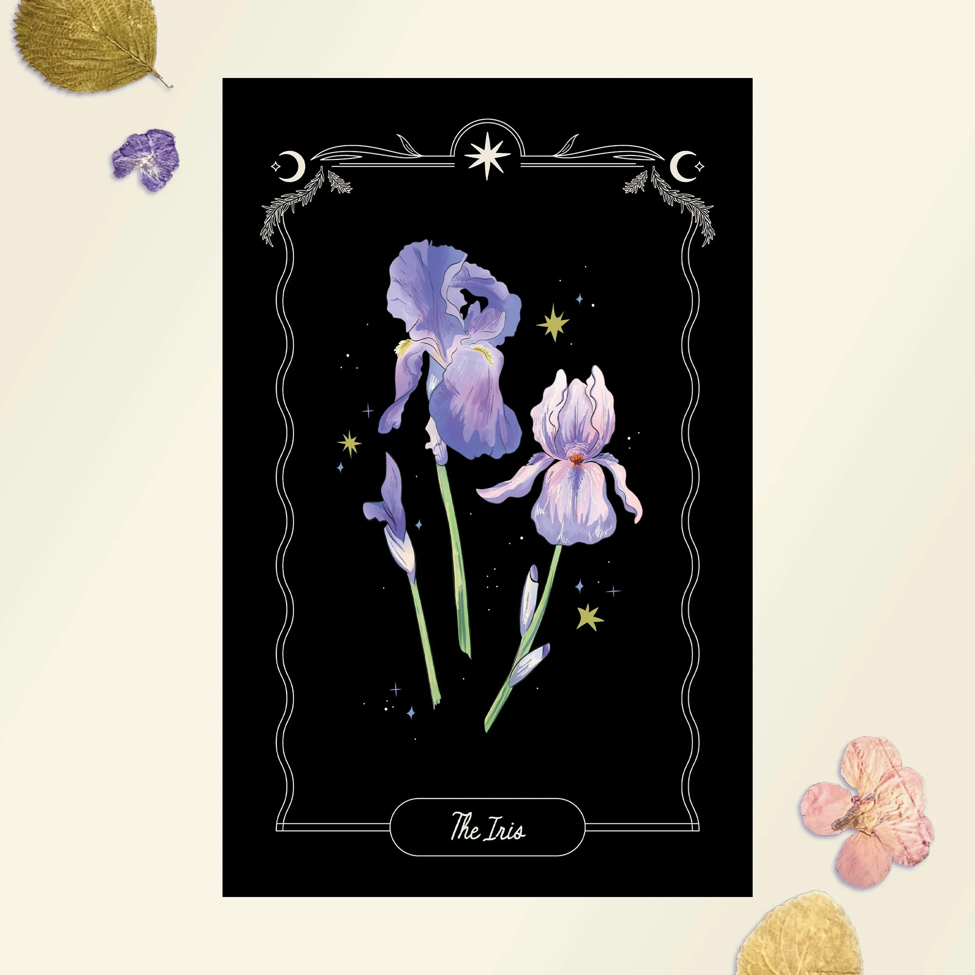 Iris Art Print