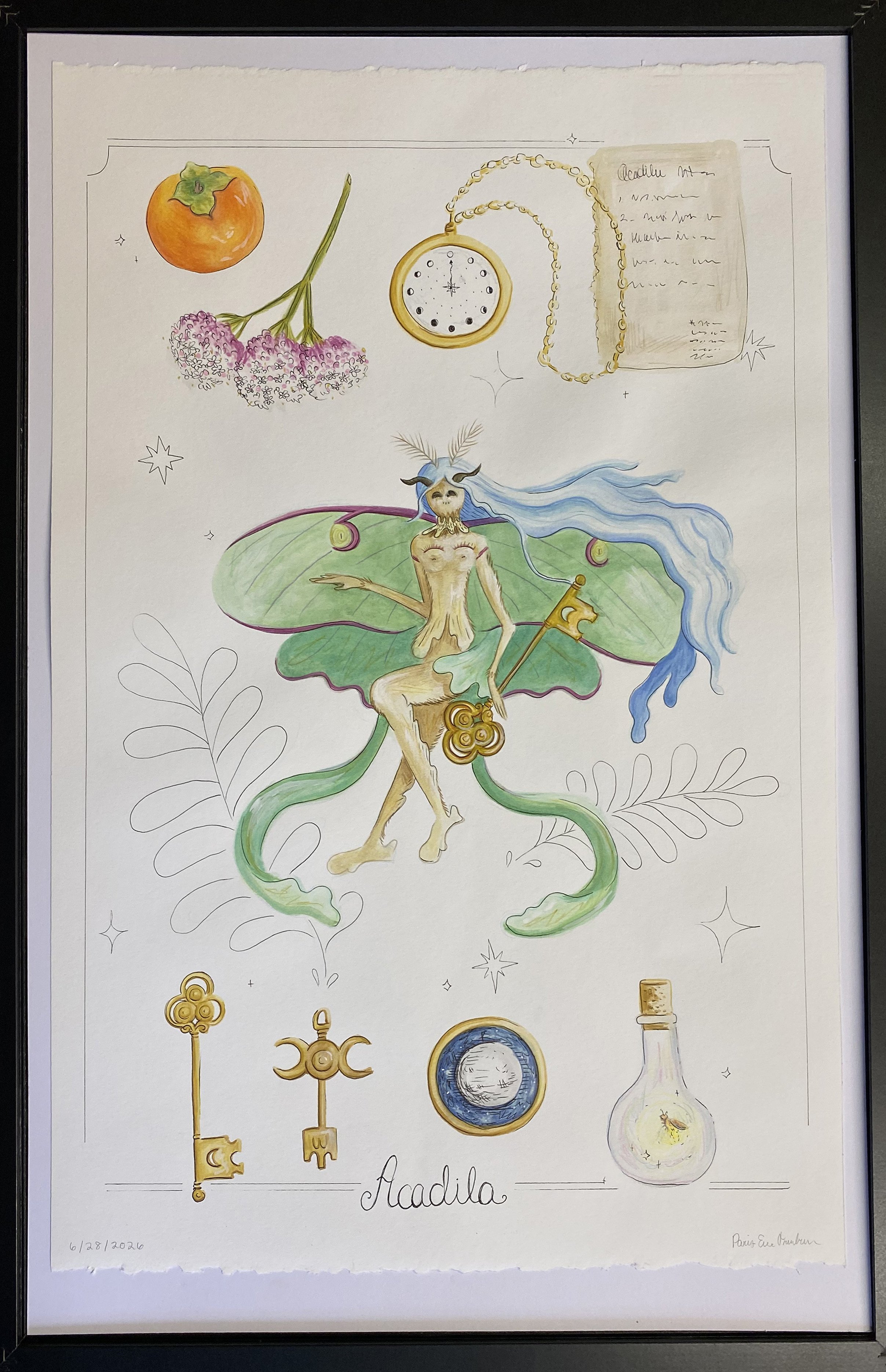 Acadila Specimen - Original