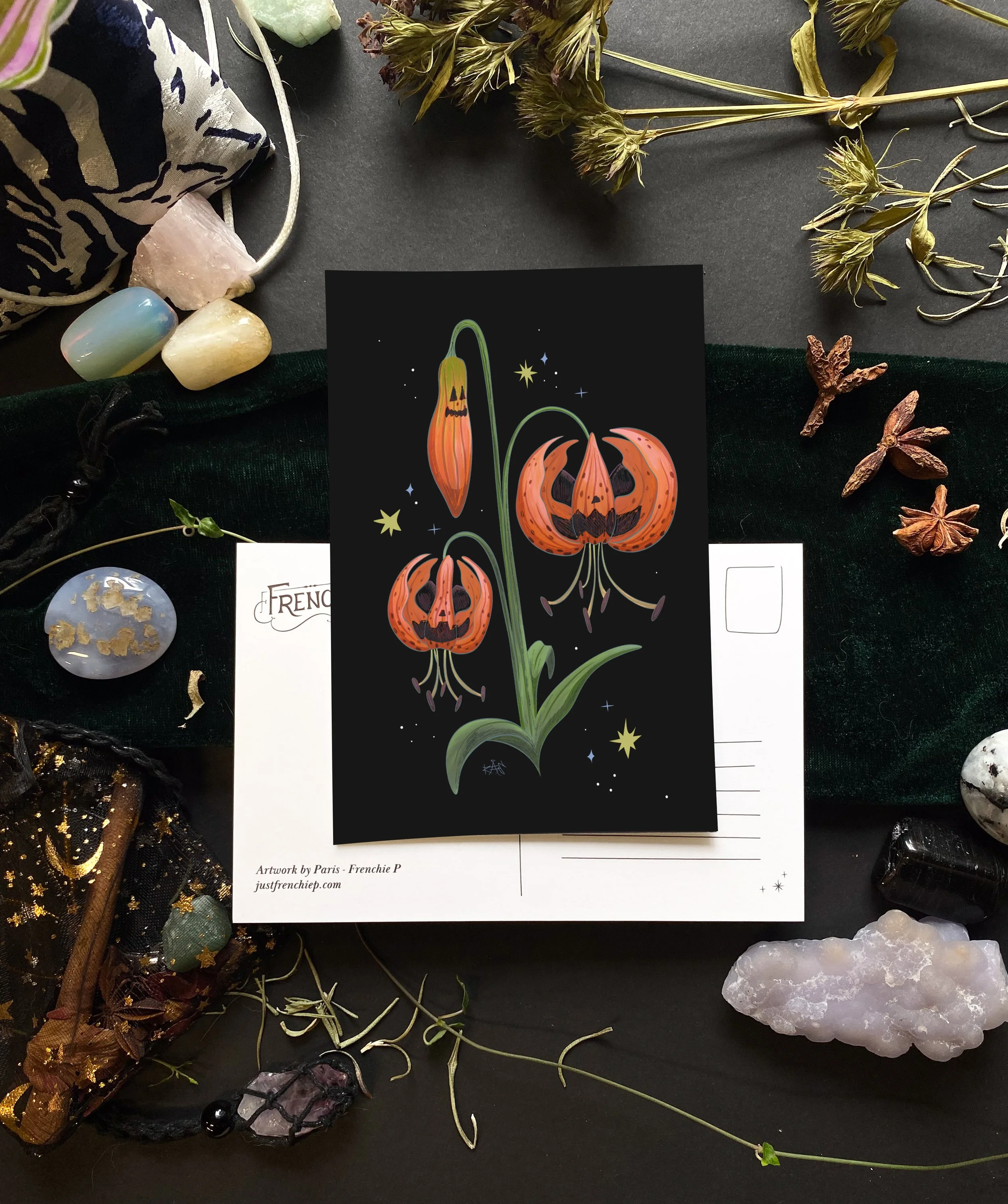 Jack-o-lily postcard 2.jpg