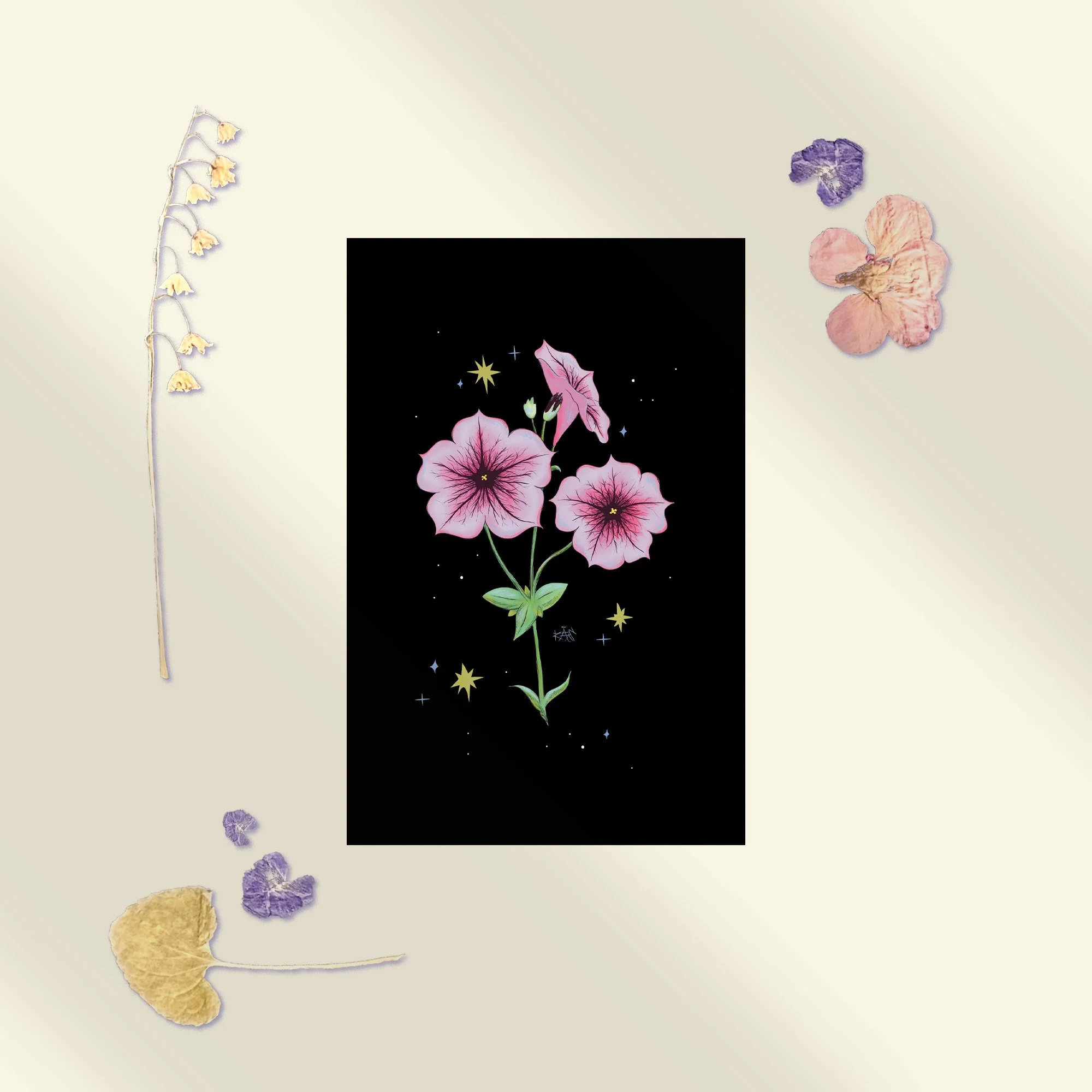 Petunia Postcard