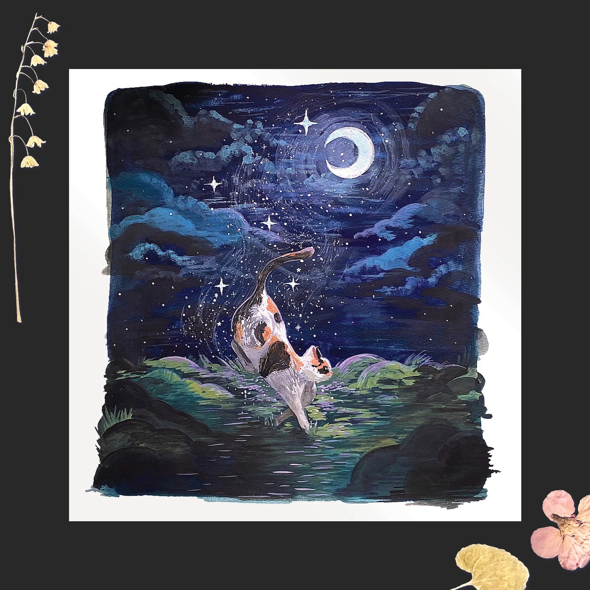 Magical Mochi