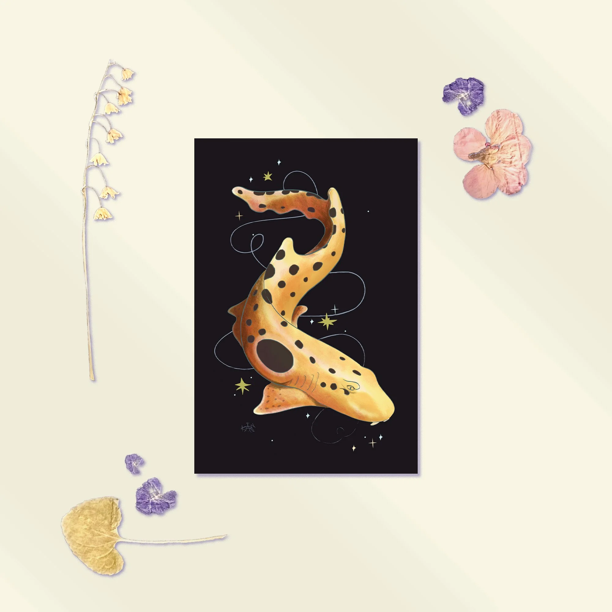 Epaulette Shark Postcard