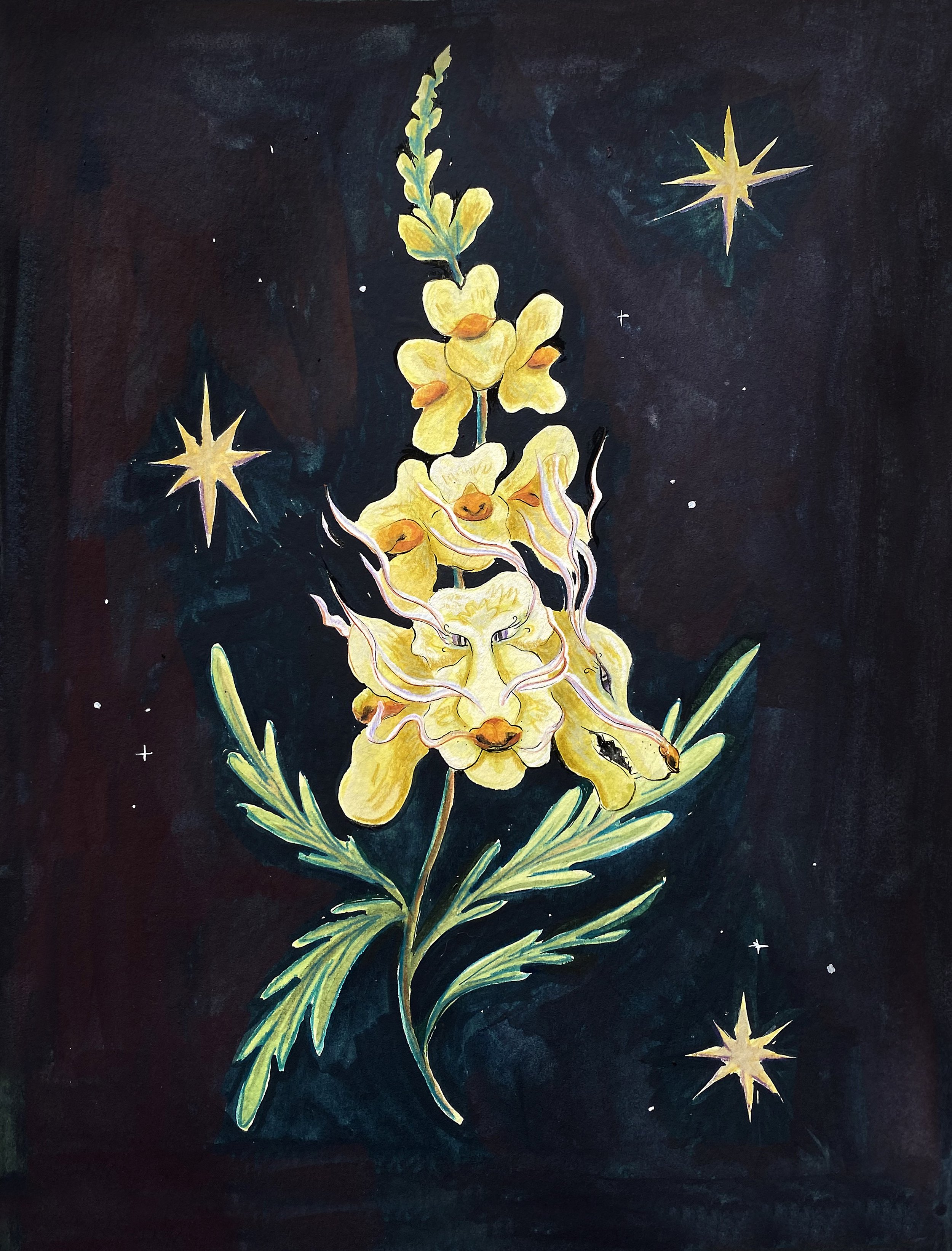 Snap Dragons.jpg