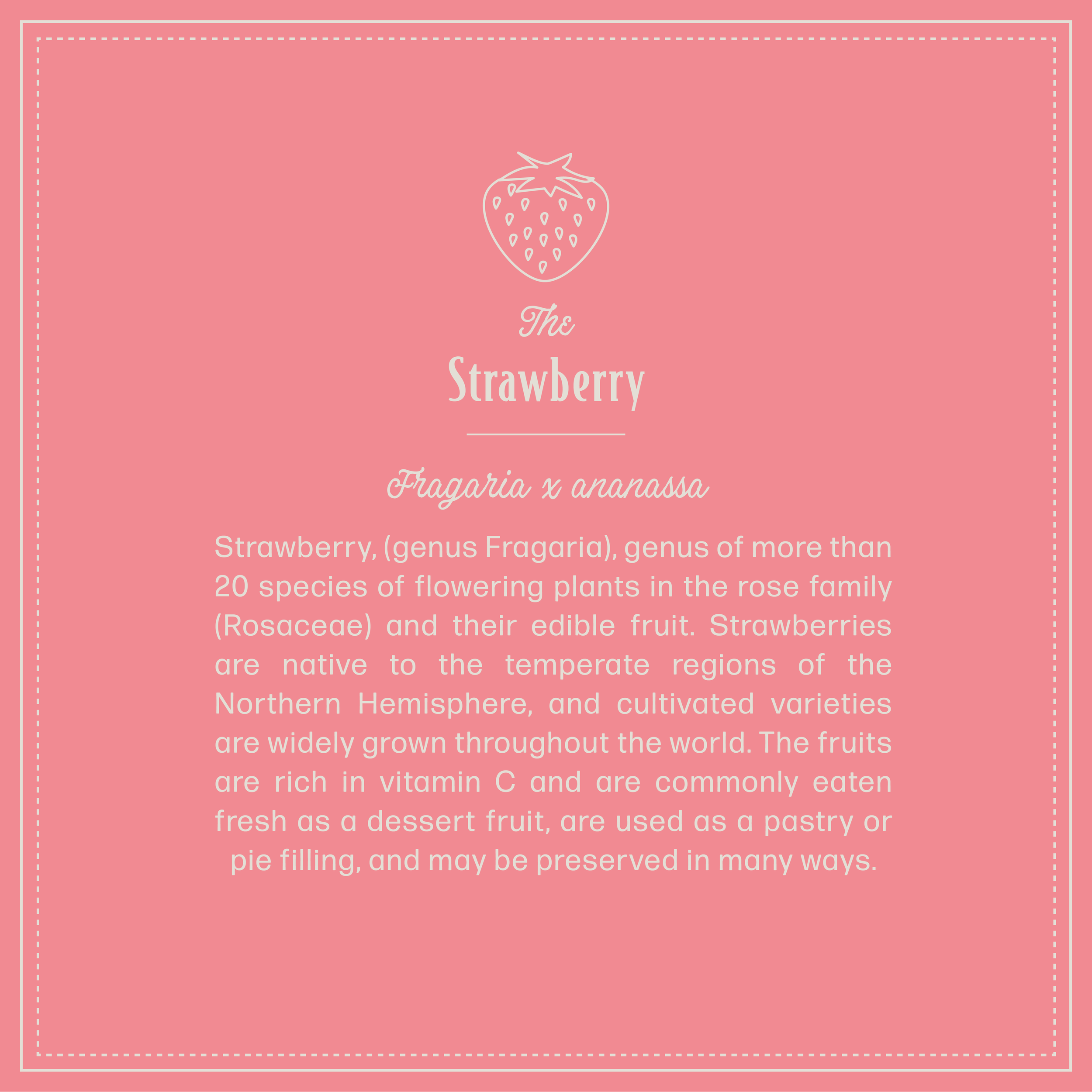 Strawberry-03.png