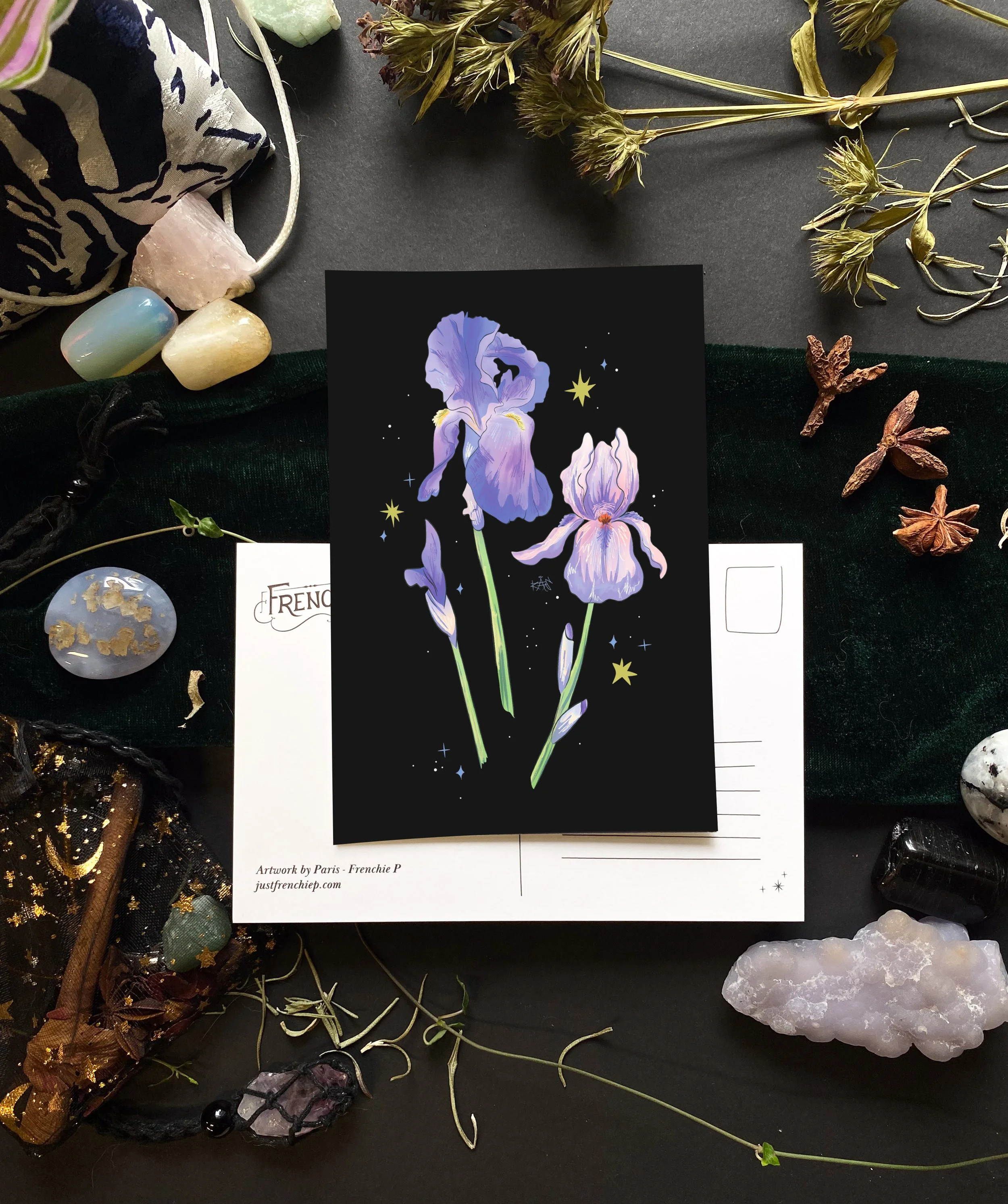 Iris Postcard