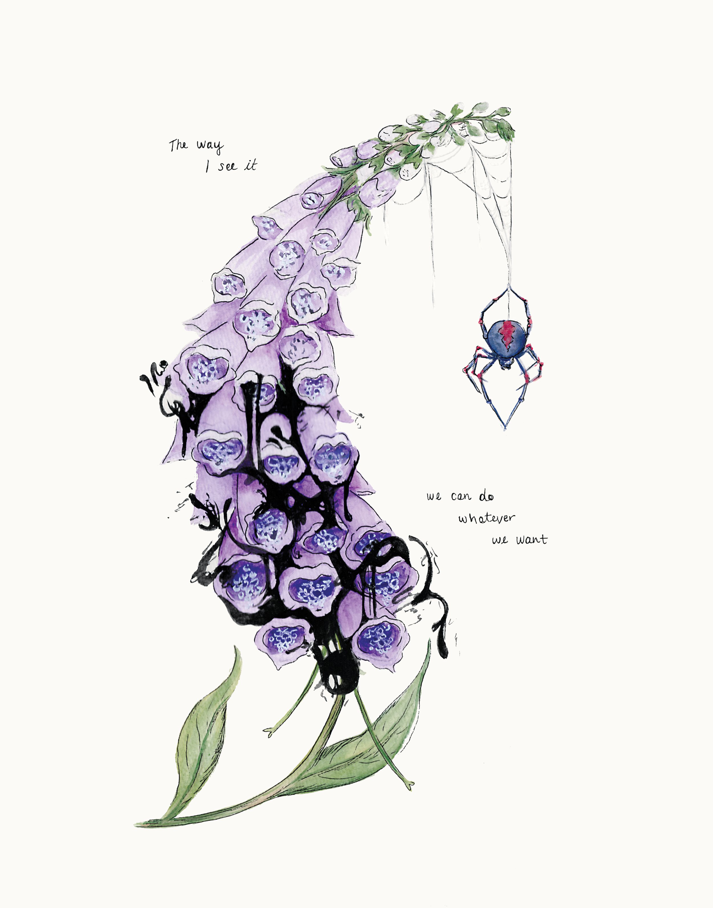 Foxglove.jpg