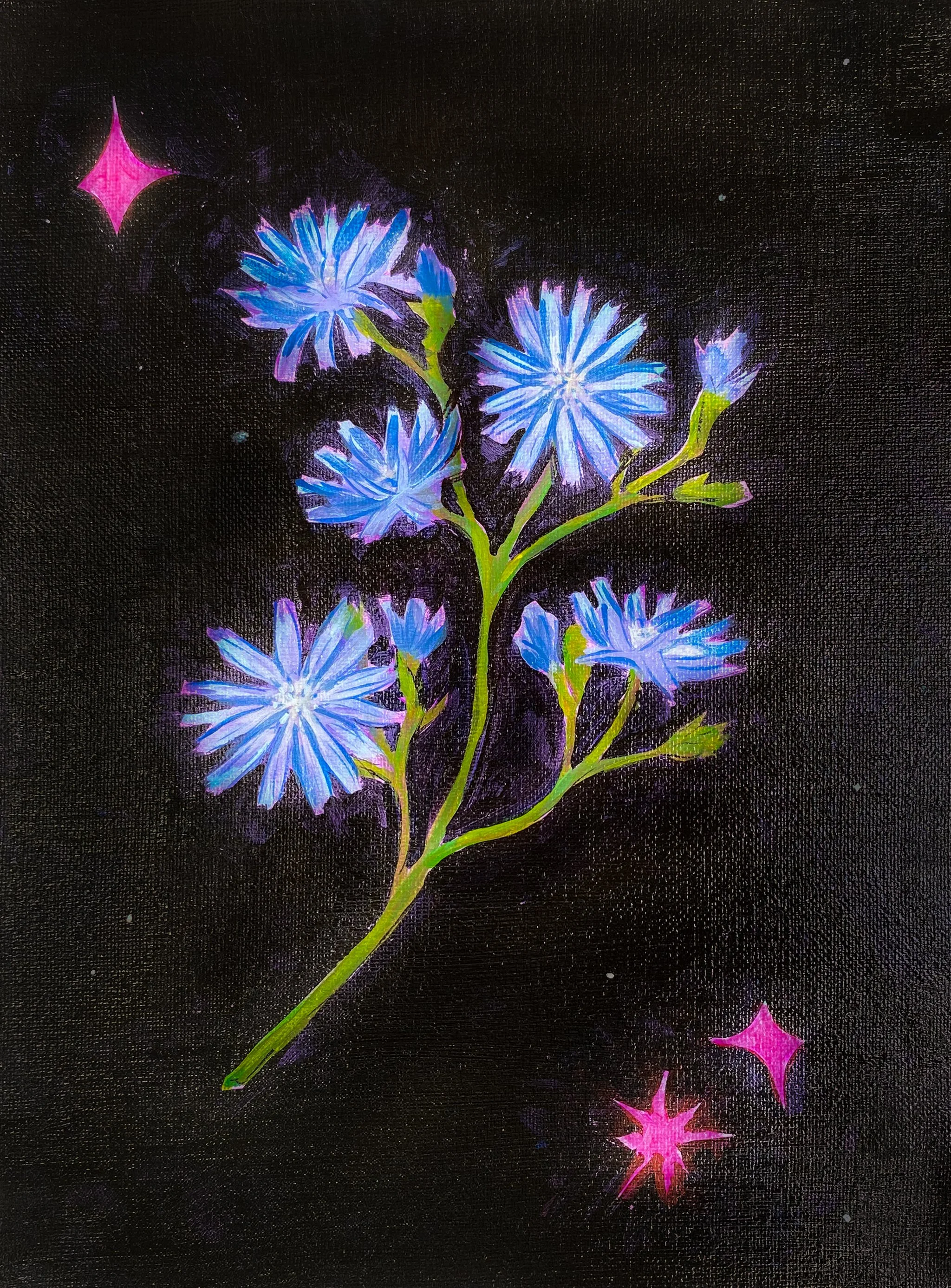 Chicory - Acrylic on canvas