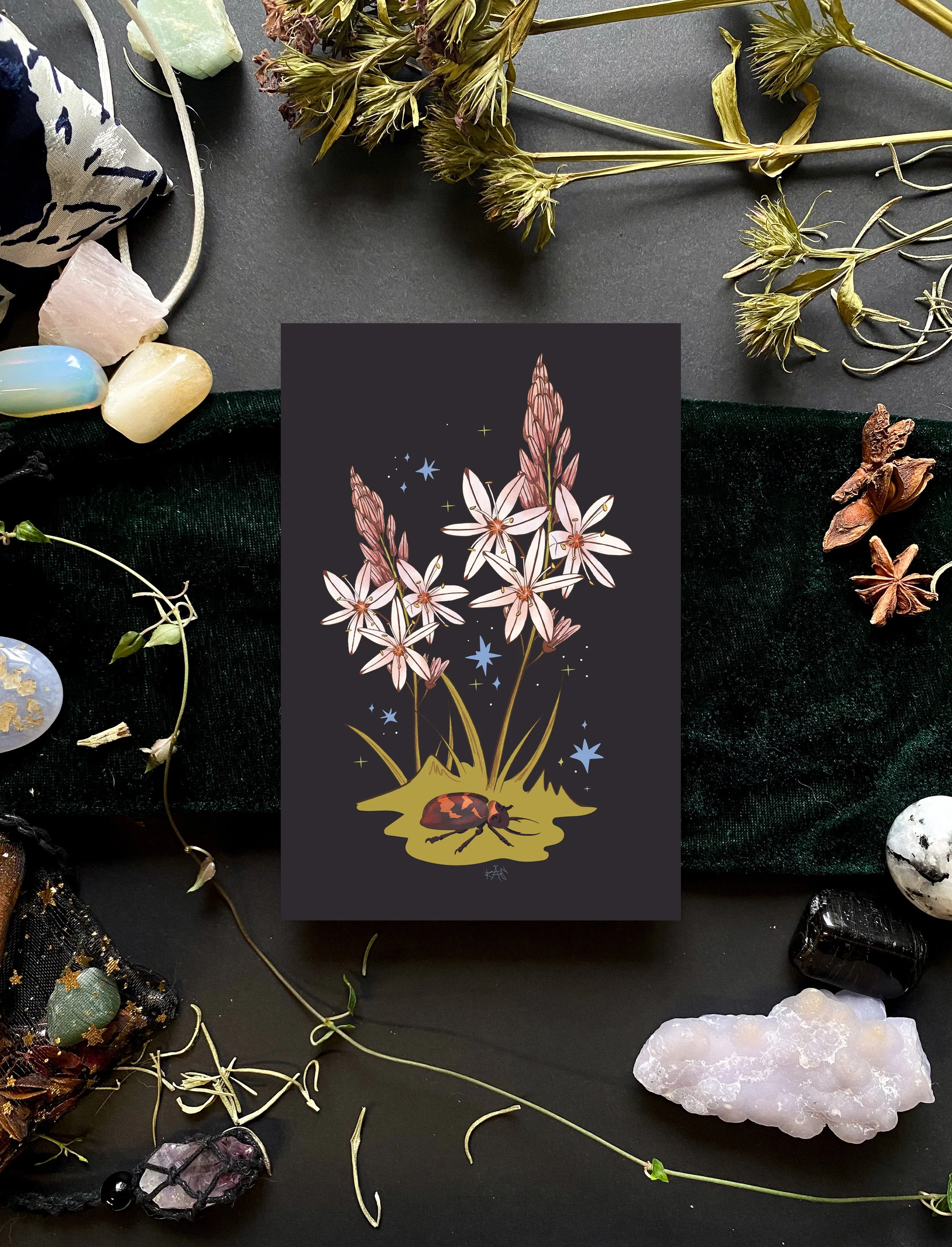 Asphodel postcard.jpg