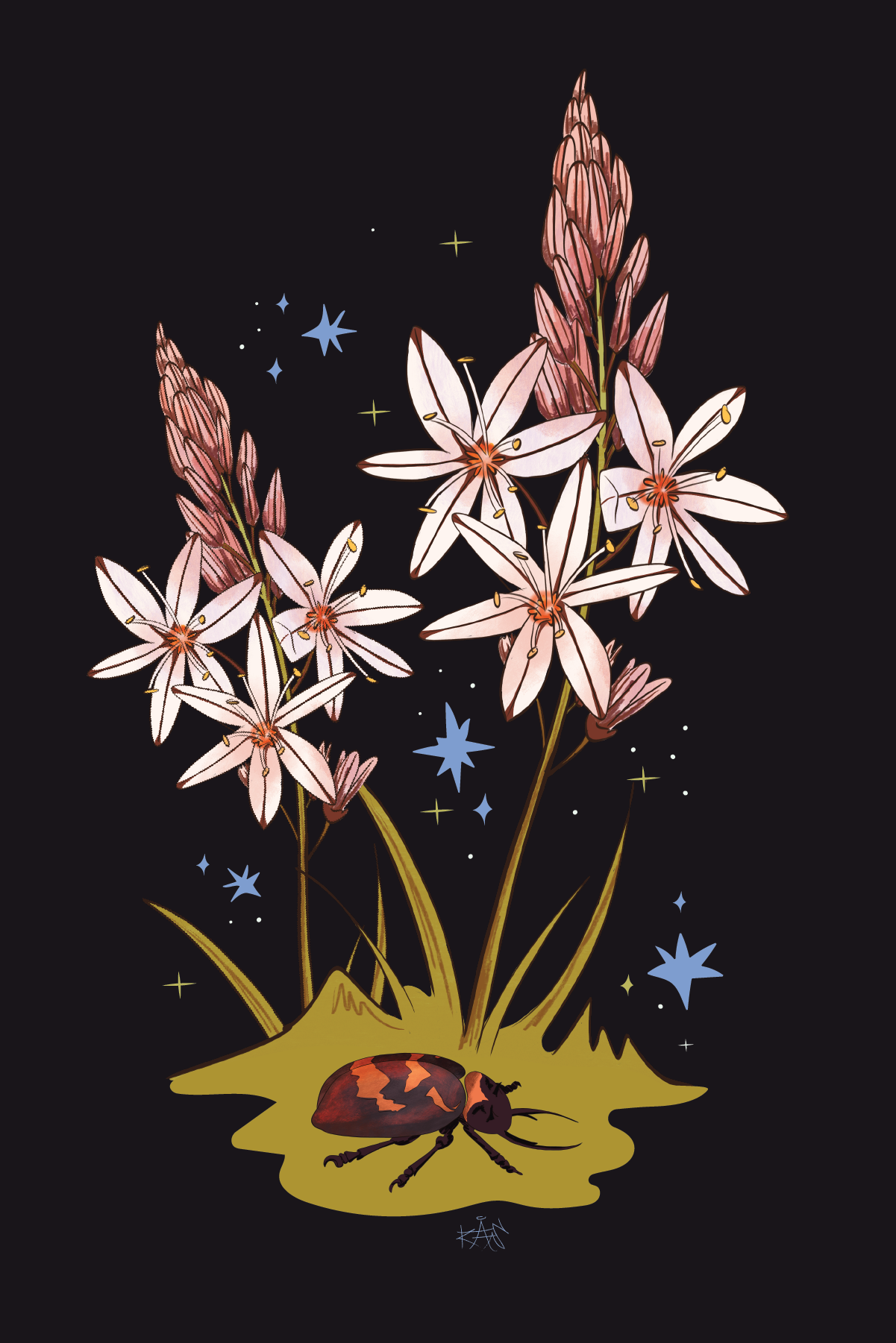 Postcards-05.png