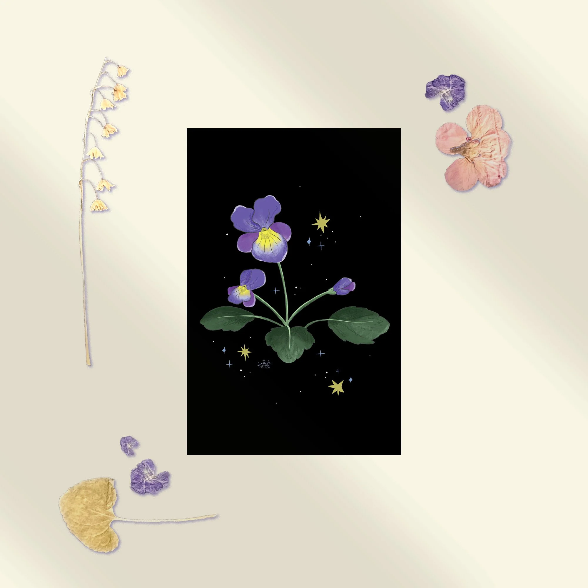 Violet Postcard.jpg