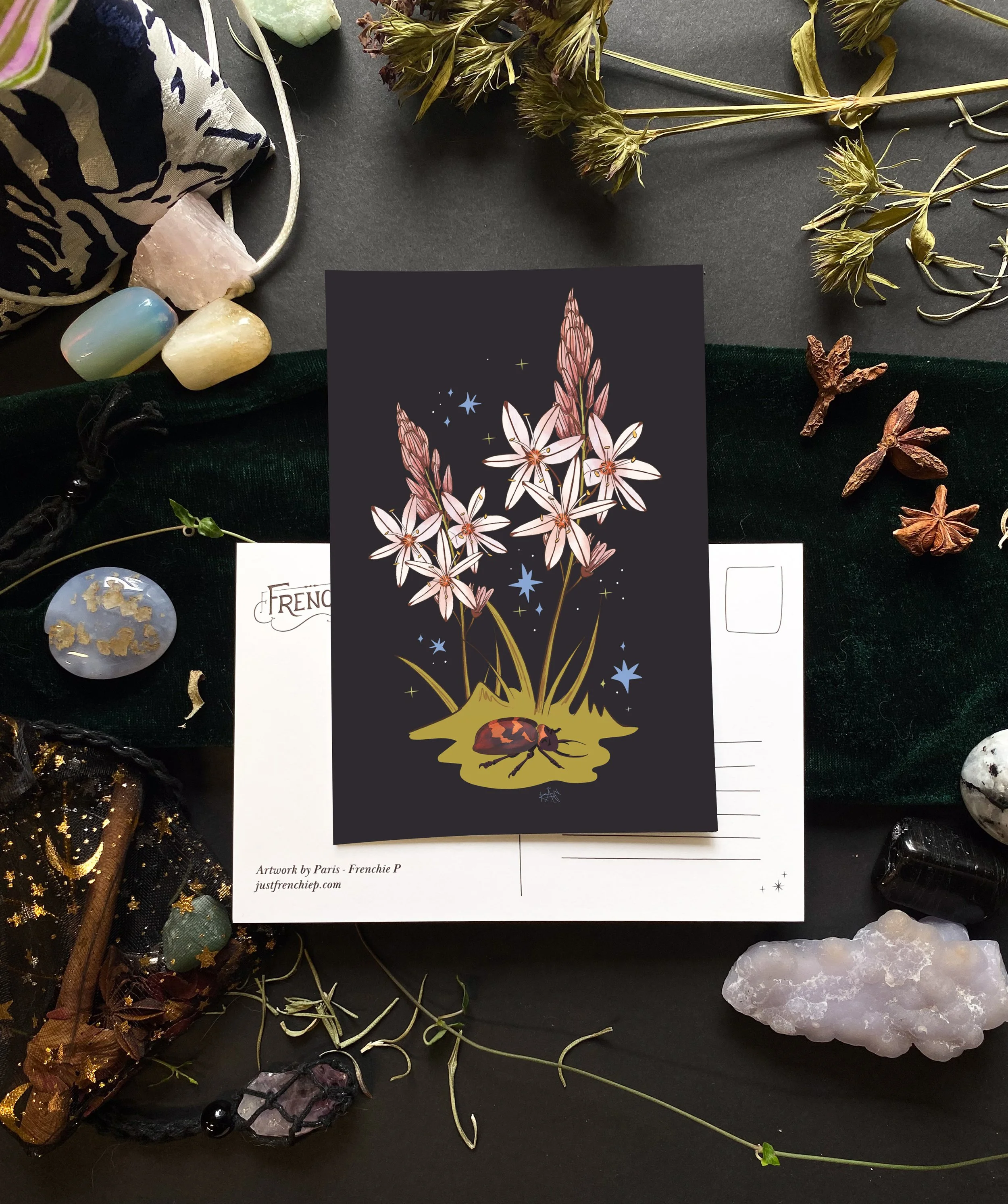 Asphodel Postcard