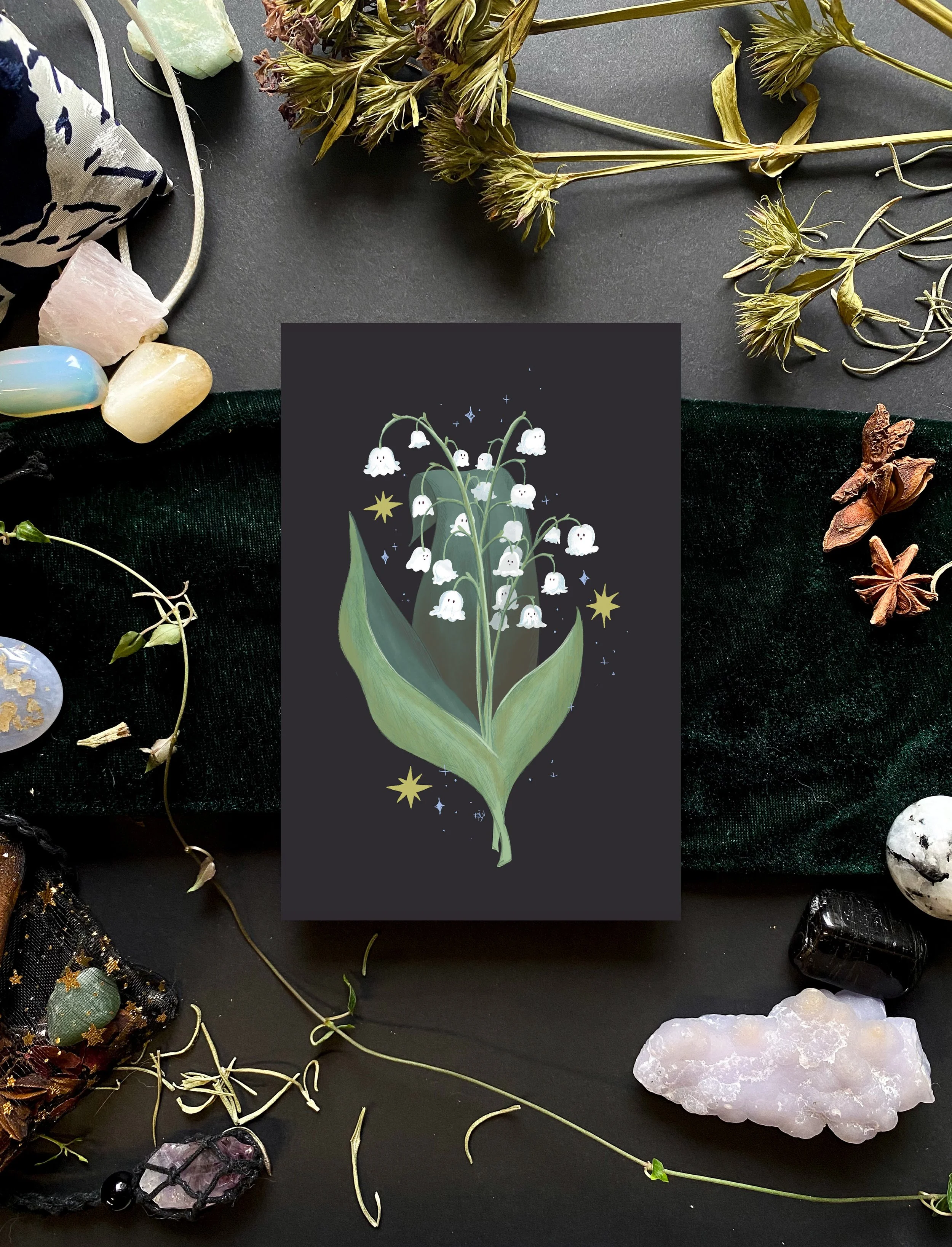 Ghost lily postcard.jpg