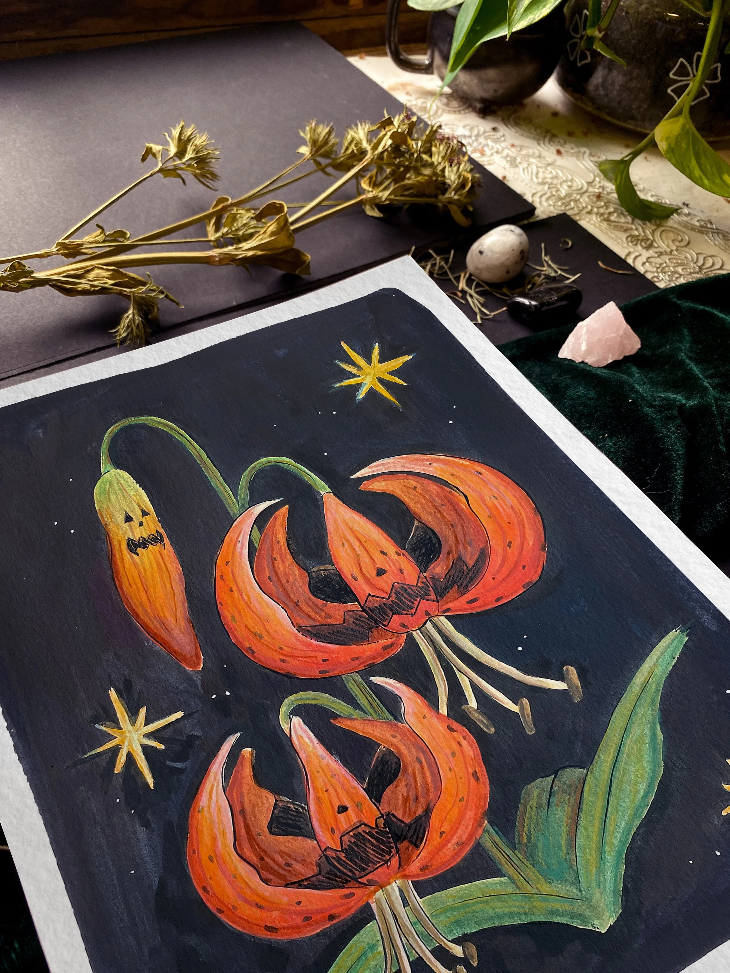 Jack-o-lily 9x12 3.jpg