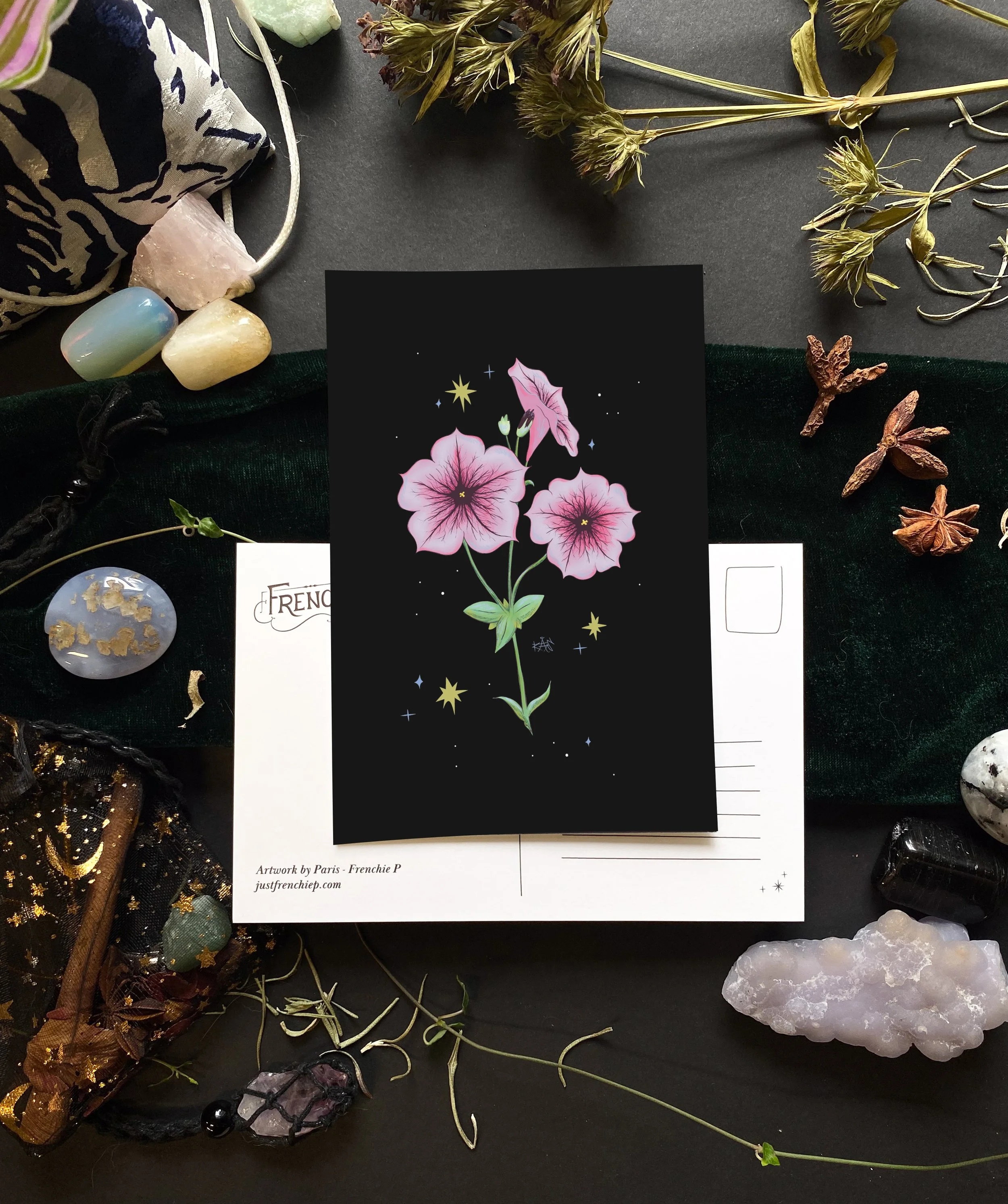Petunia Postcard