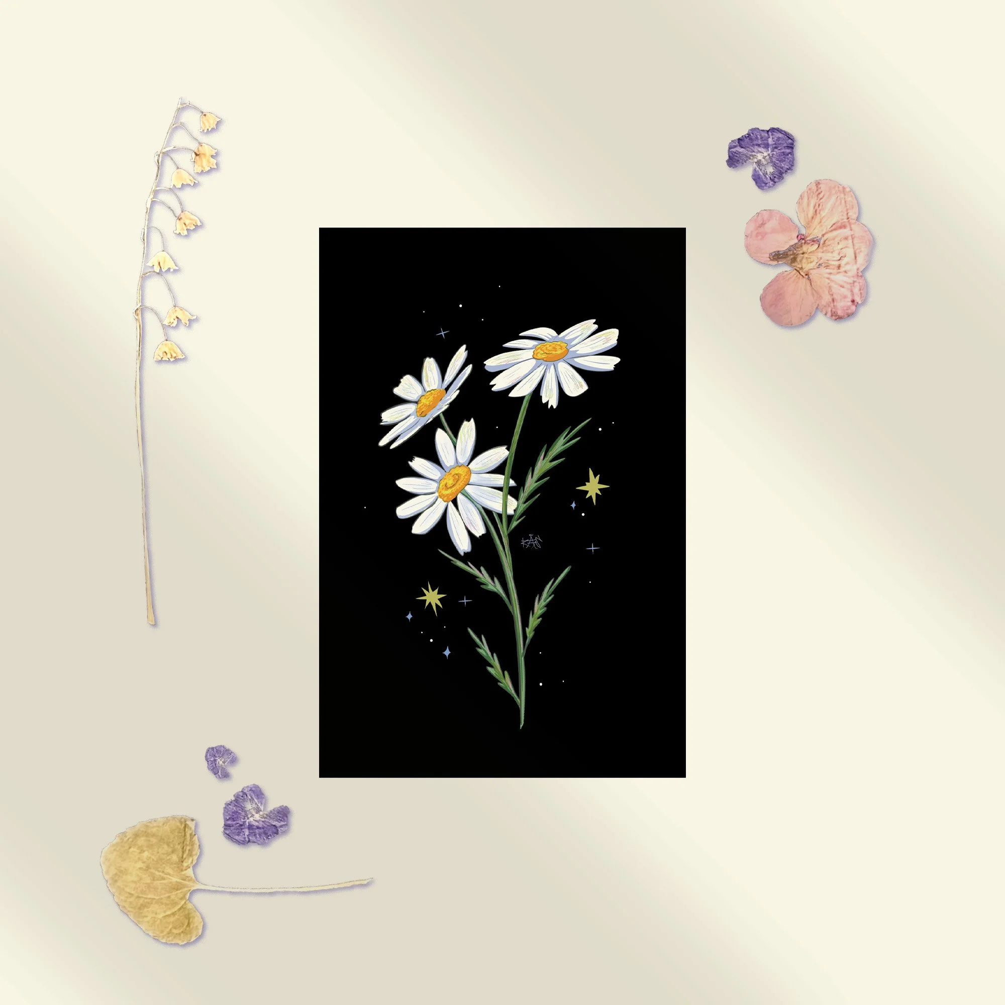 Daisy Postcard.jpg