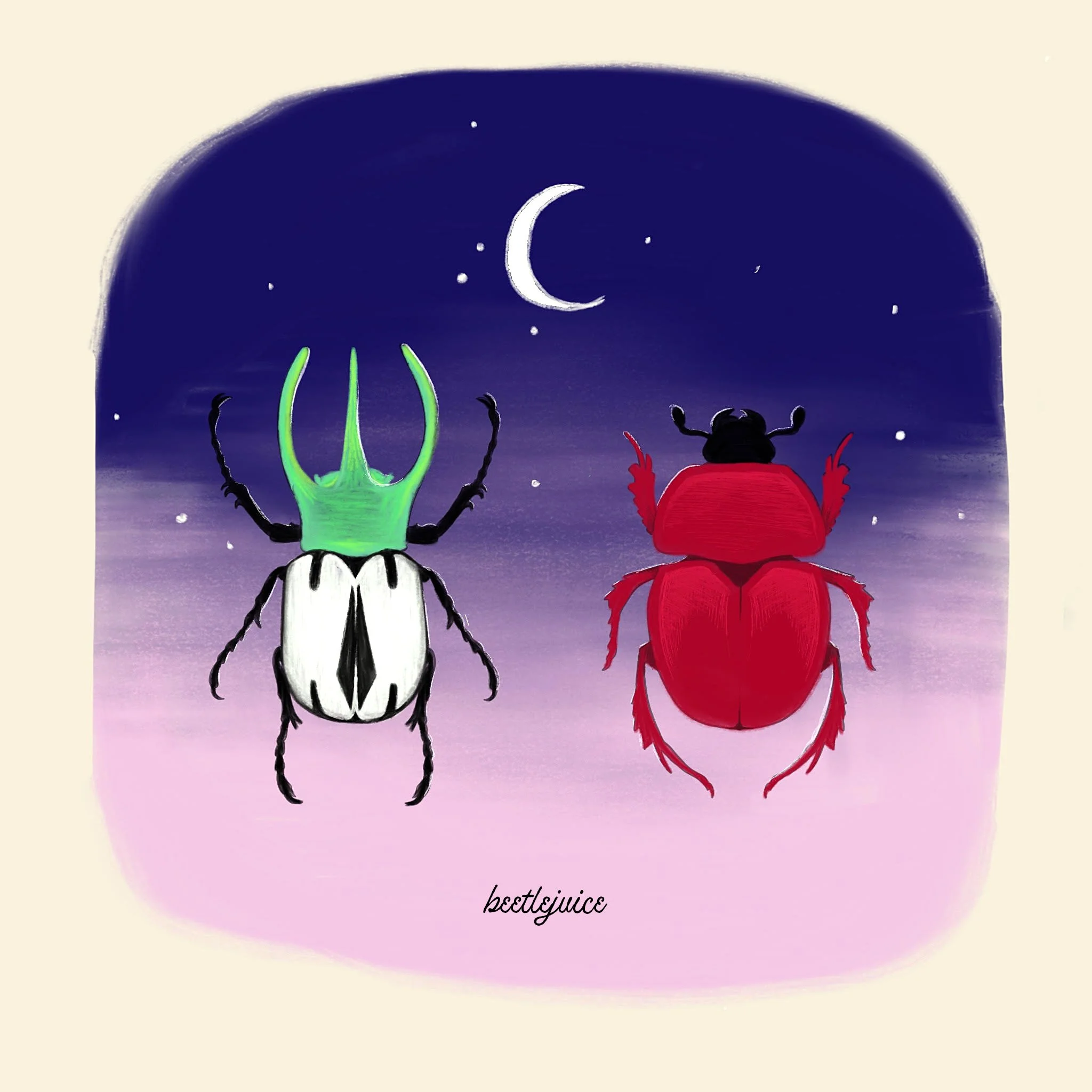 Beetles